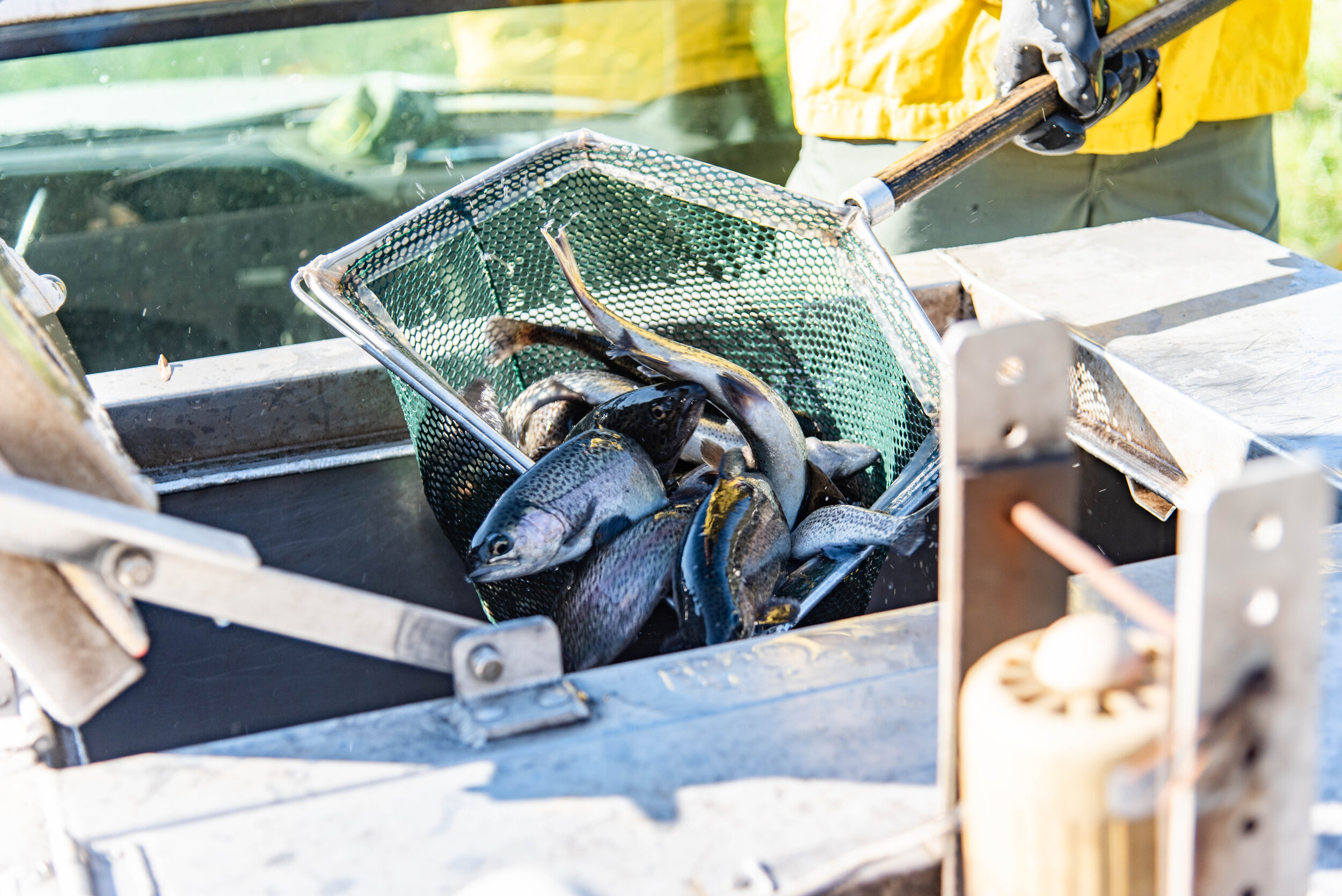 Helicopter Stocking 2020-2.jpg