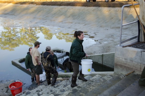 Crew members carry the buckets to the top of the dam by hand.