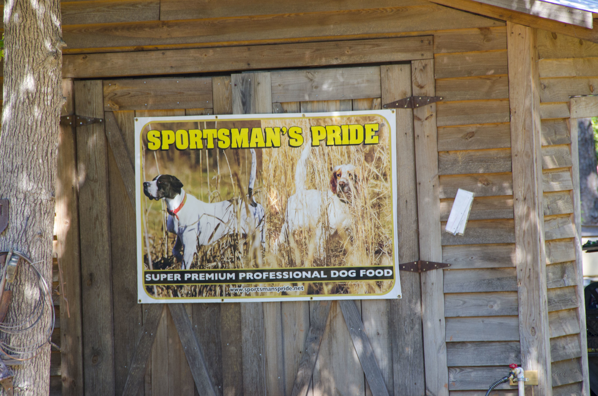 Bird Dog Revival_by DLucas_019.JPG