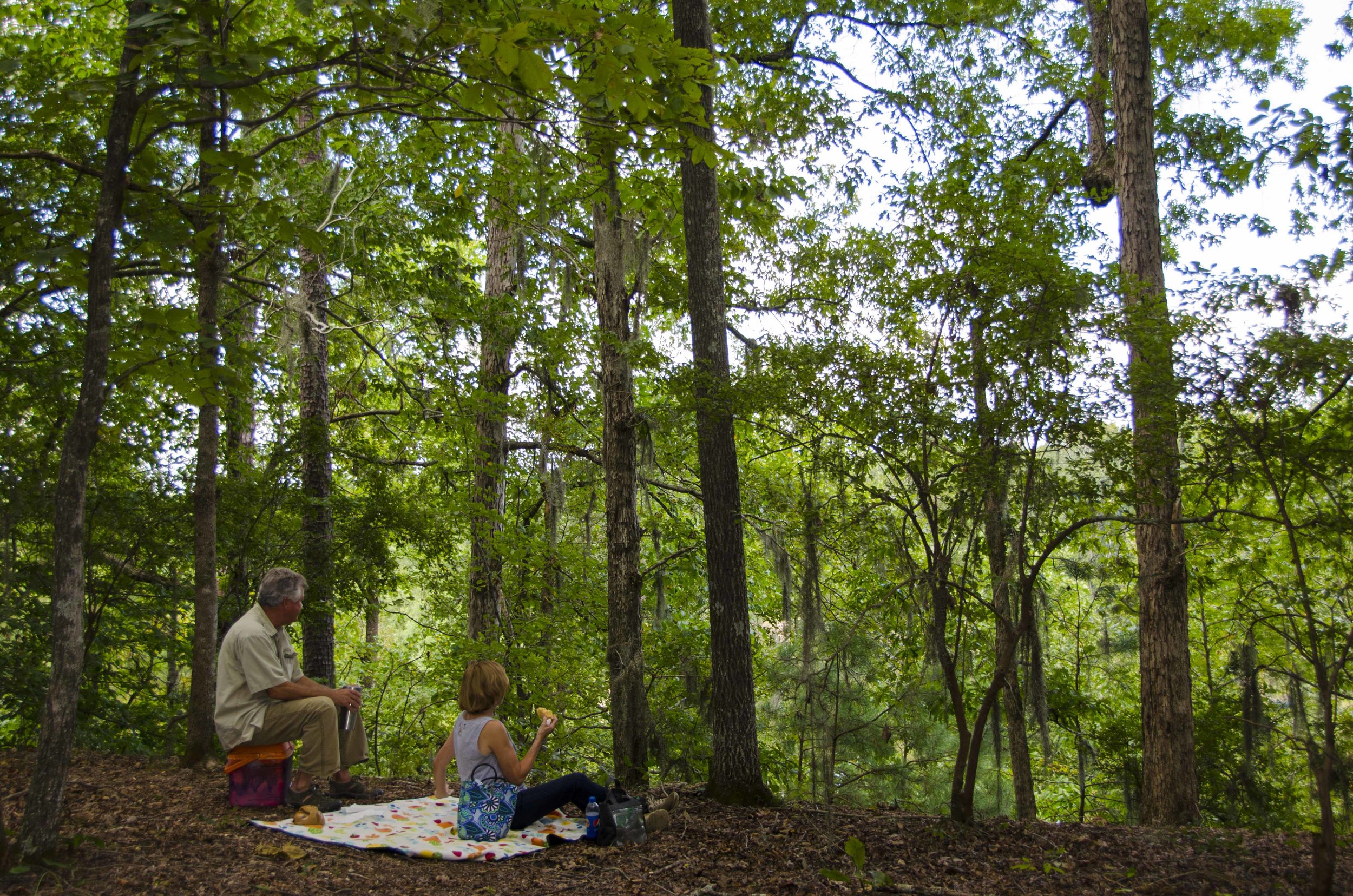 These folks were enjoying a picnic lunch and the view from the end of Overlook Road, where steamboats once tied up to bring goods and passengers to a bustling Goodwill Plantation.