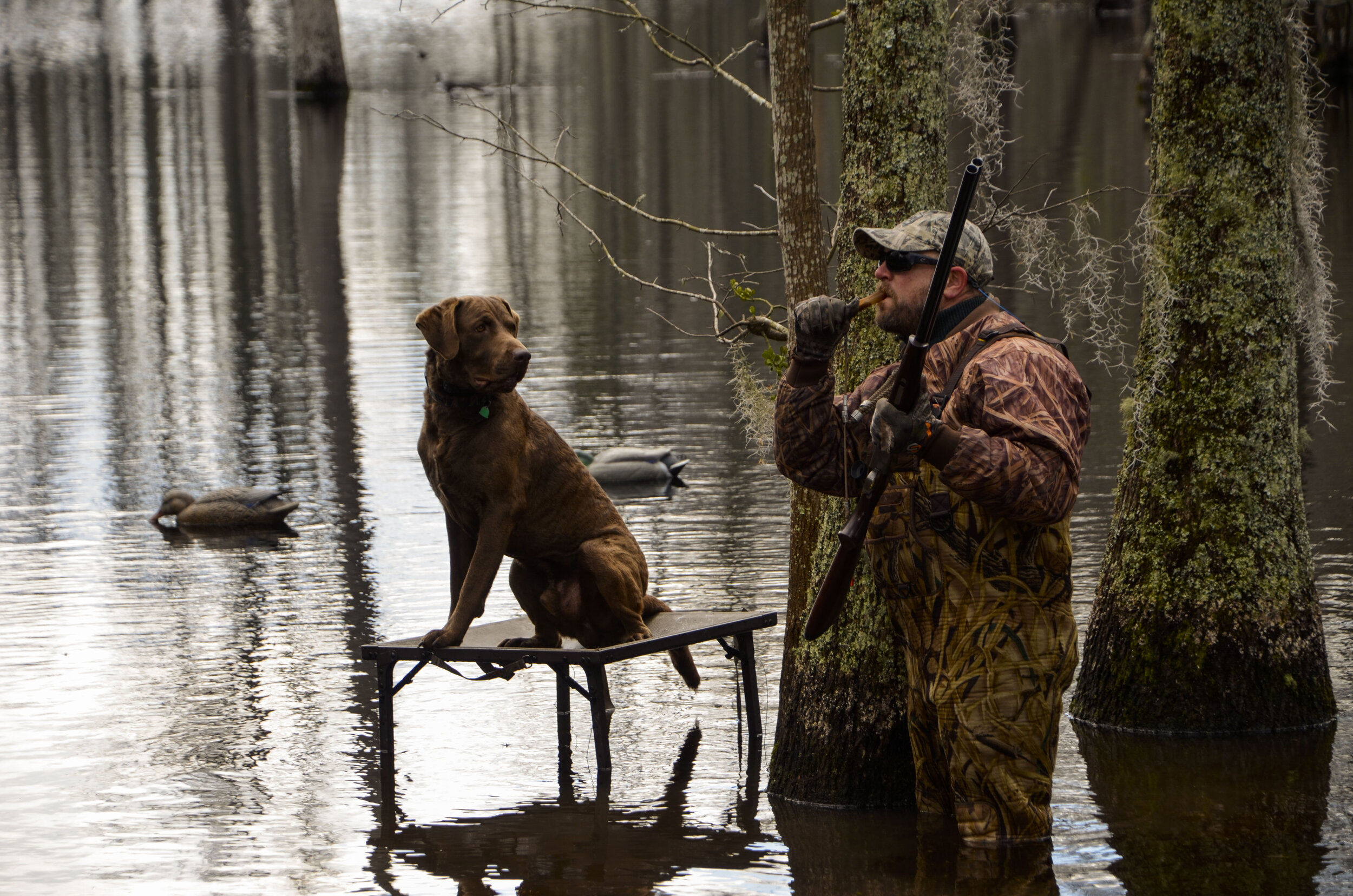 Love Farm Dog Photos_DLucas_477_1.JPG