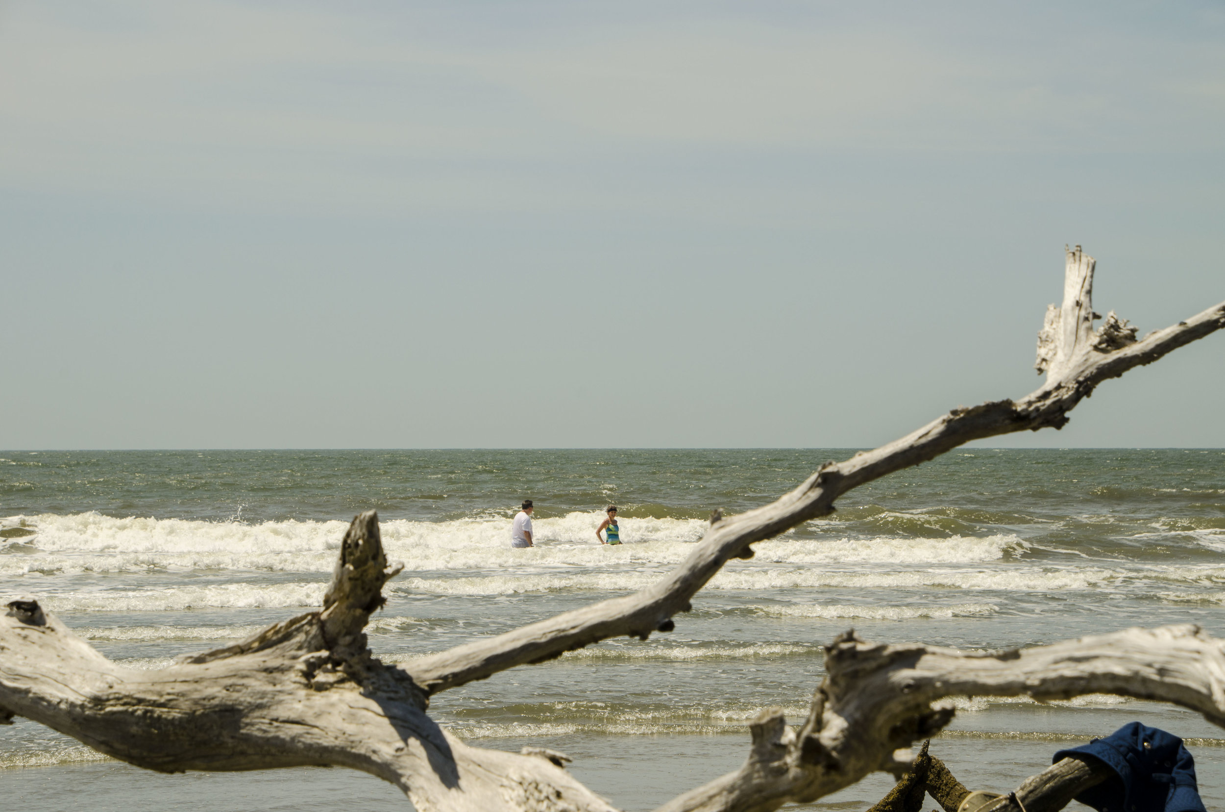 Bulls Island for Blog 036_ by DLucas.JPG