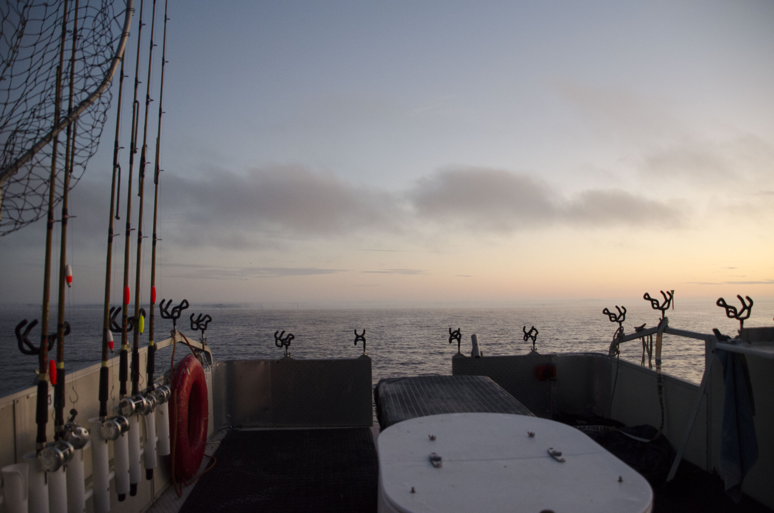 Santee Guide-Mouse_006_DLucas.JPG