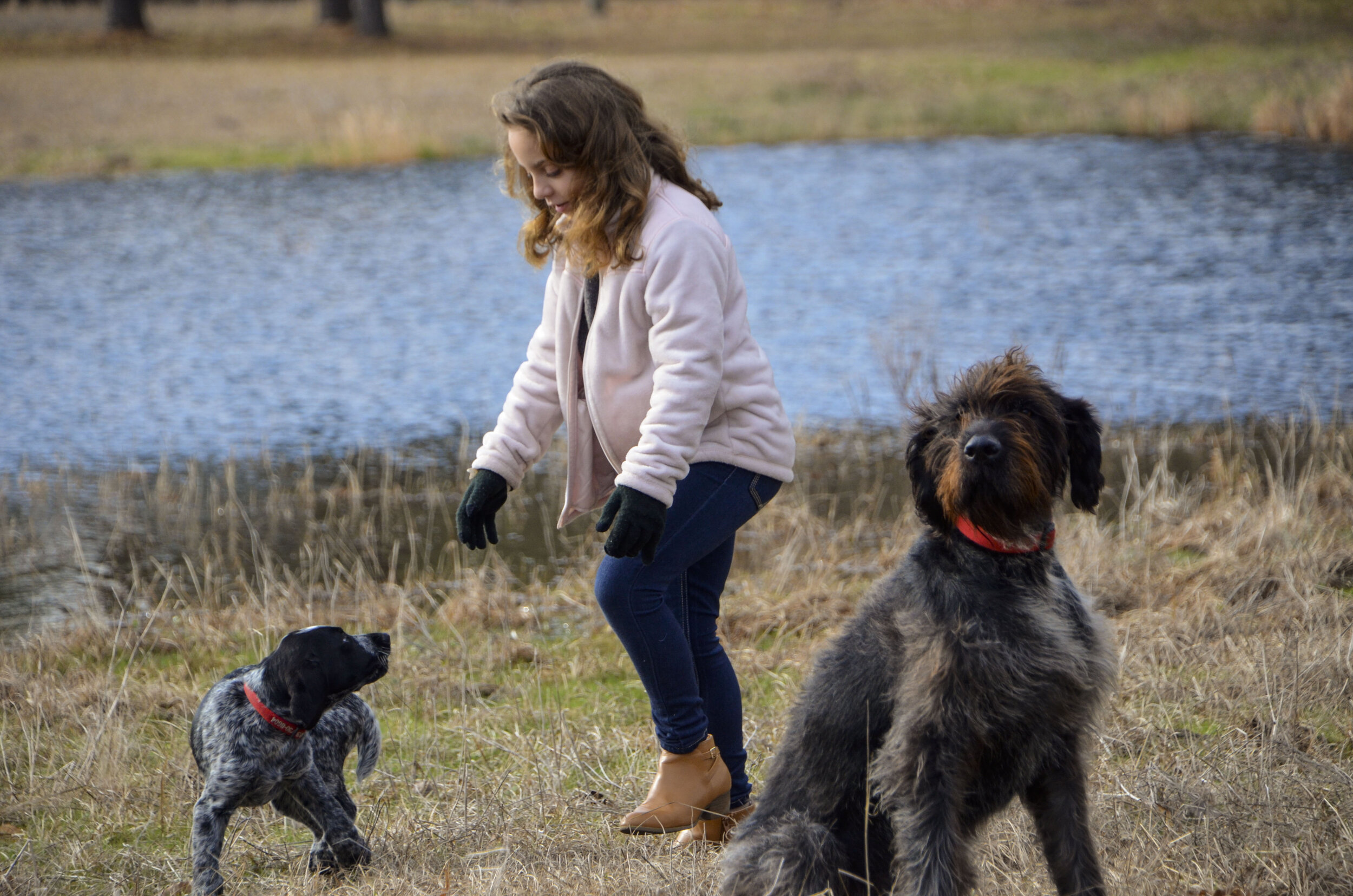 Love Farm Dog Photos_DLucas_013_1.JPG