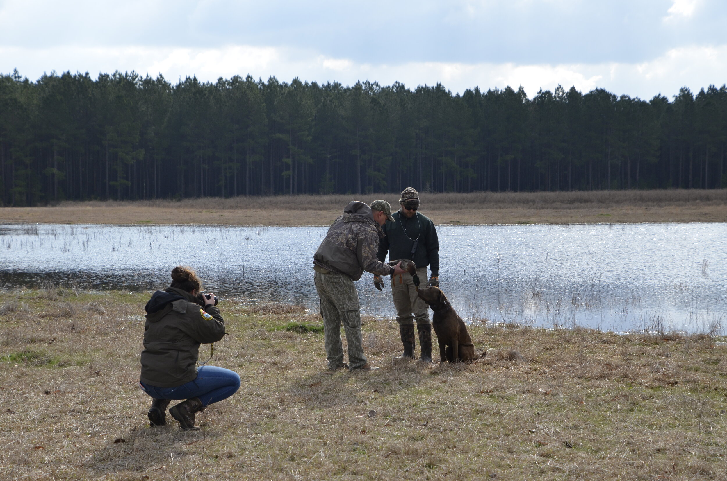 Love Farm Dog Photos_DLucas_132.JPG