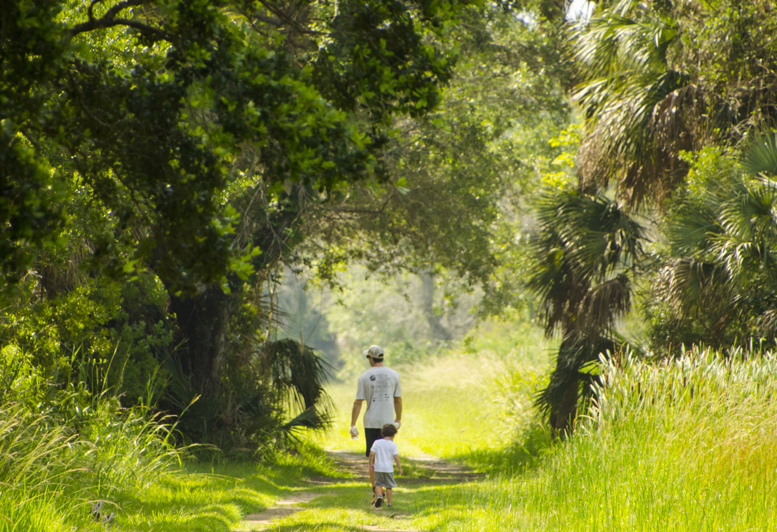  Walking the Beach Road. 