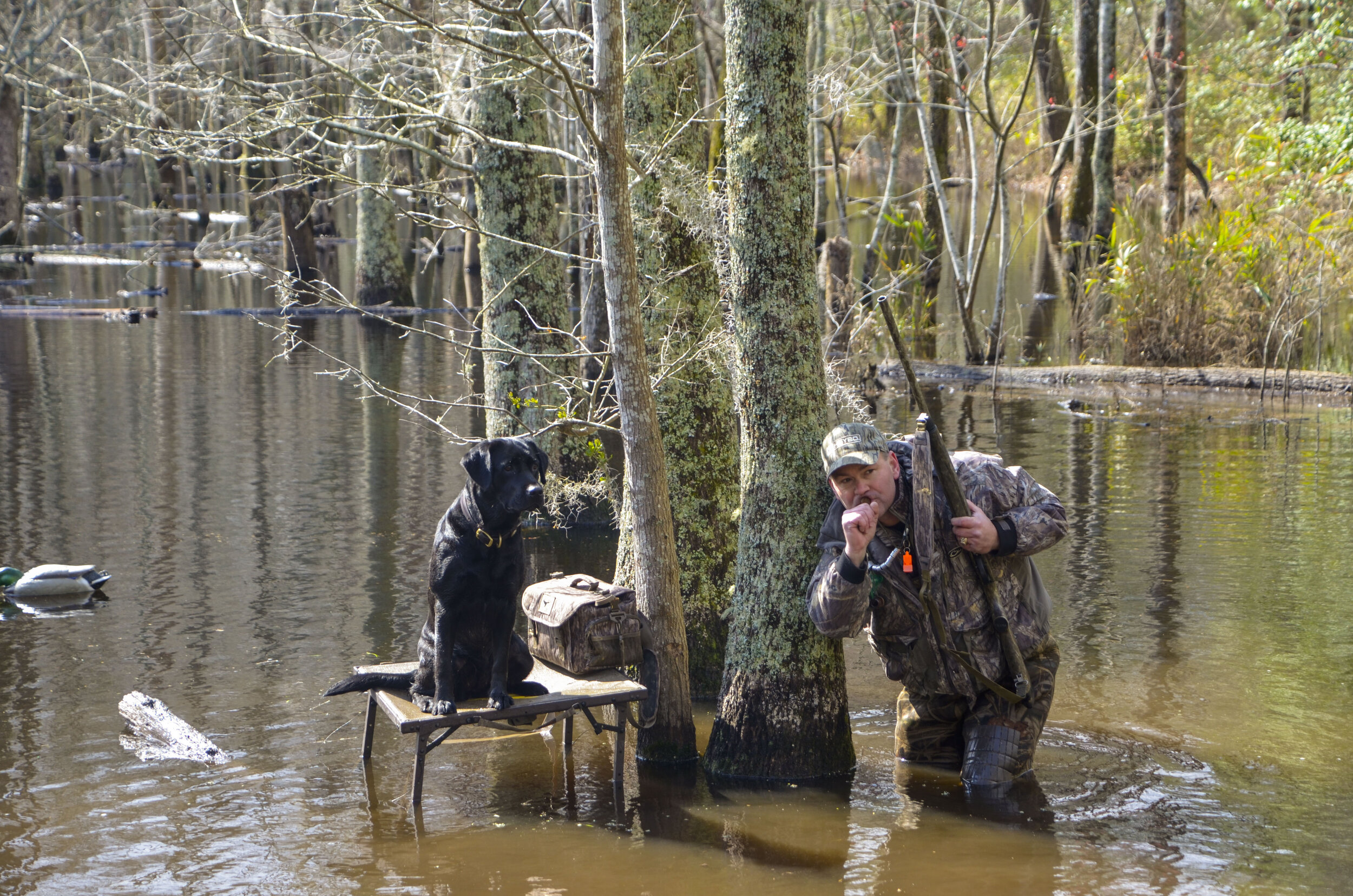 Love Farm Dog Photos_DLucas_379_1.JPG