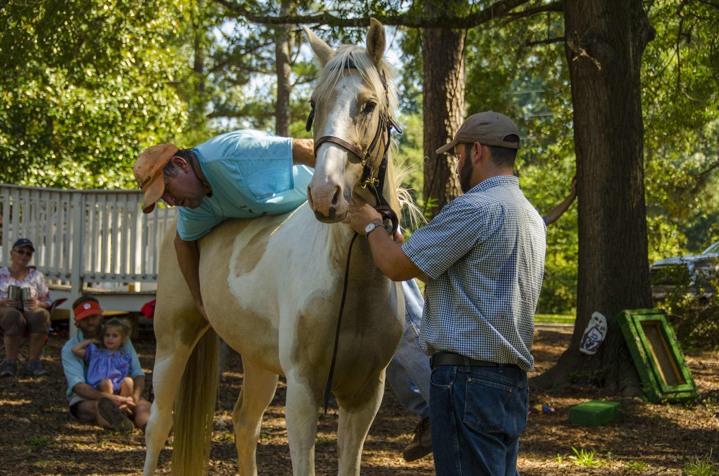 Bird Dog Revival_by DLucas_113.JPG