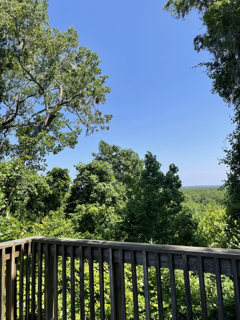 Off The 95 Corridor&nbsp;