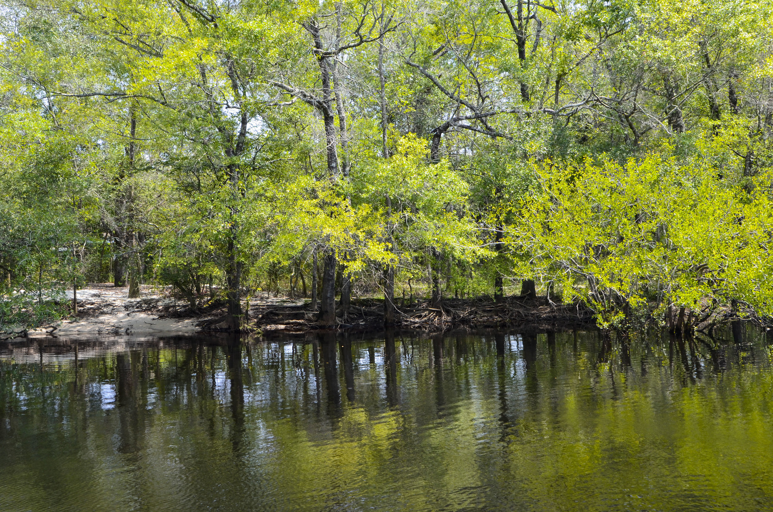  View across from the dock at Chris Anderson Landing. 