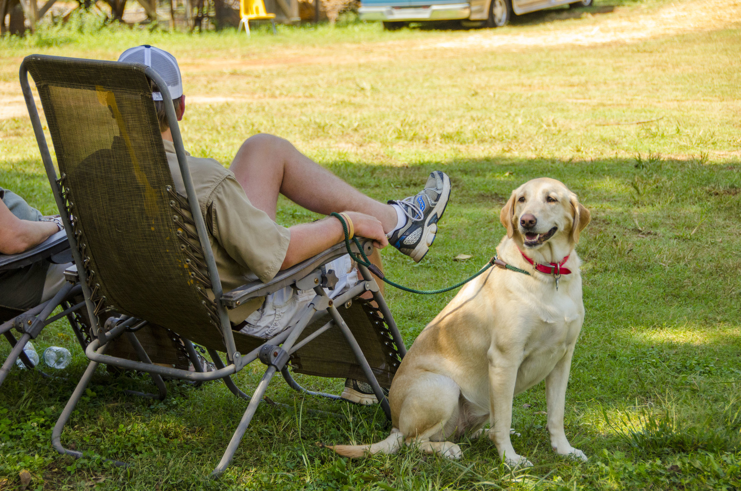 Bird Dog Revival_by DLucas_076.JPG