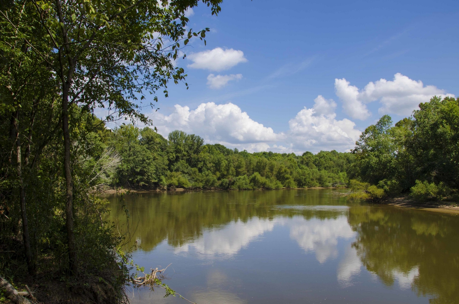The Wateree River forms the Western boundary of the Heritage Preserve and WMA, providing good fishing opportunities for those willing to make the hike down to the water's edge.