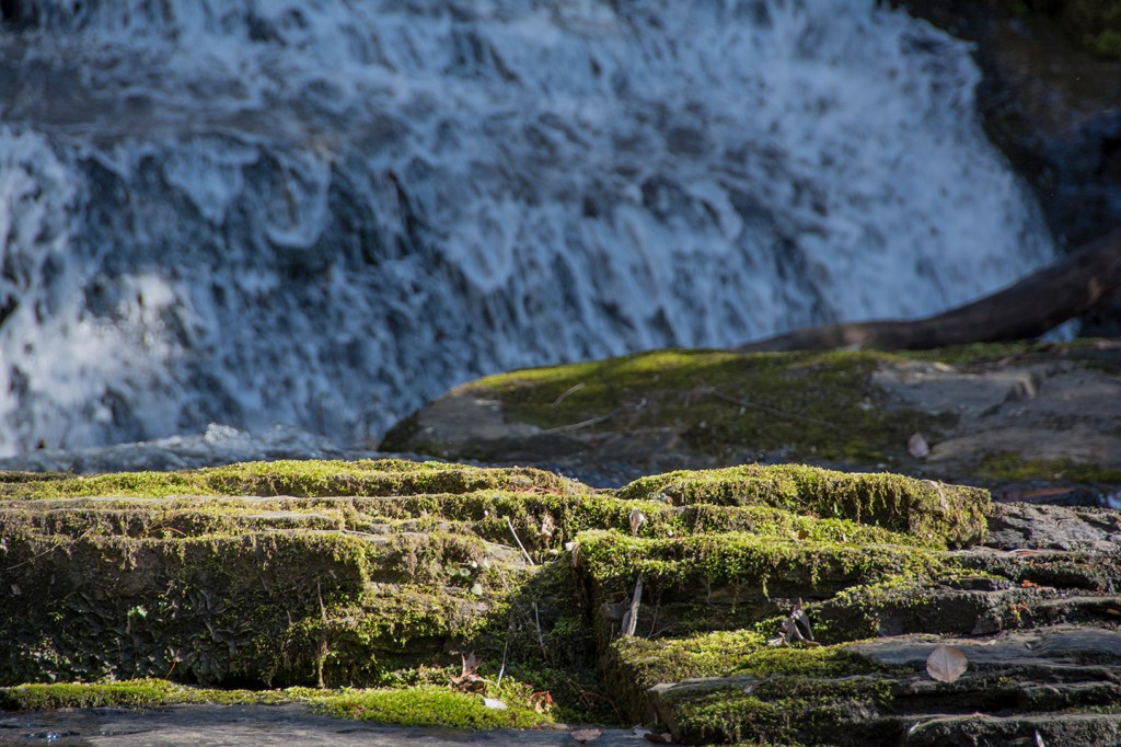 Photo of mossy rocks in front of a waterfall.