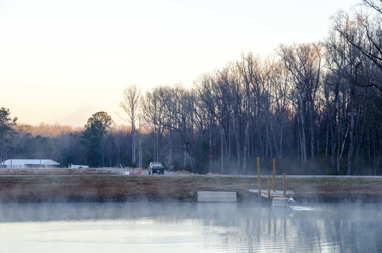 The ponds at the SCDNR's Cohen &nbsp;Campbell Fisheries Center outside Columbia (as well as those at other SCDNR hatcheries) produce millions of fingerlings each year that are stocked in lakes and rivers around the state.