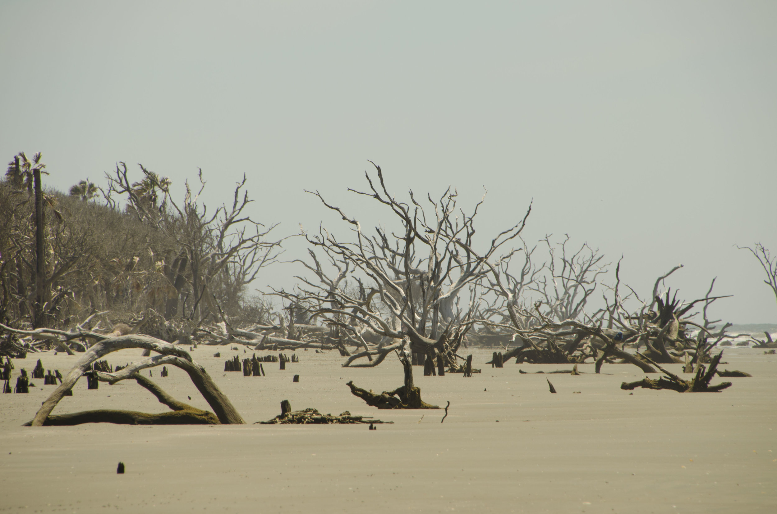  Photographing the boneyard. 