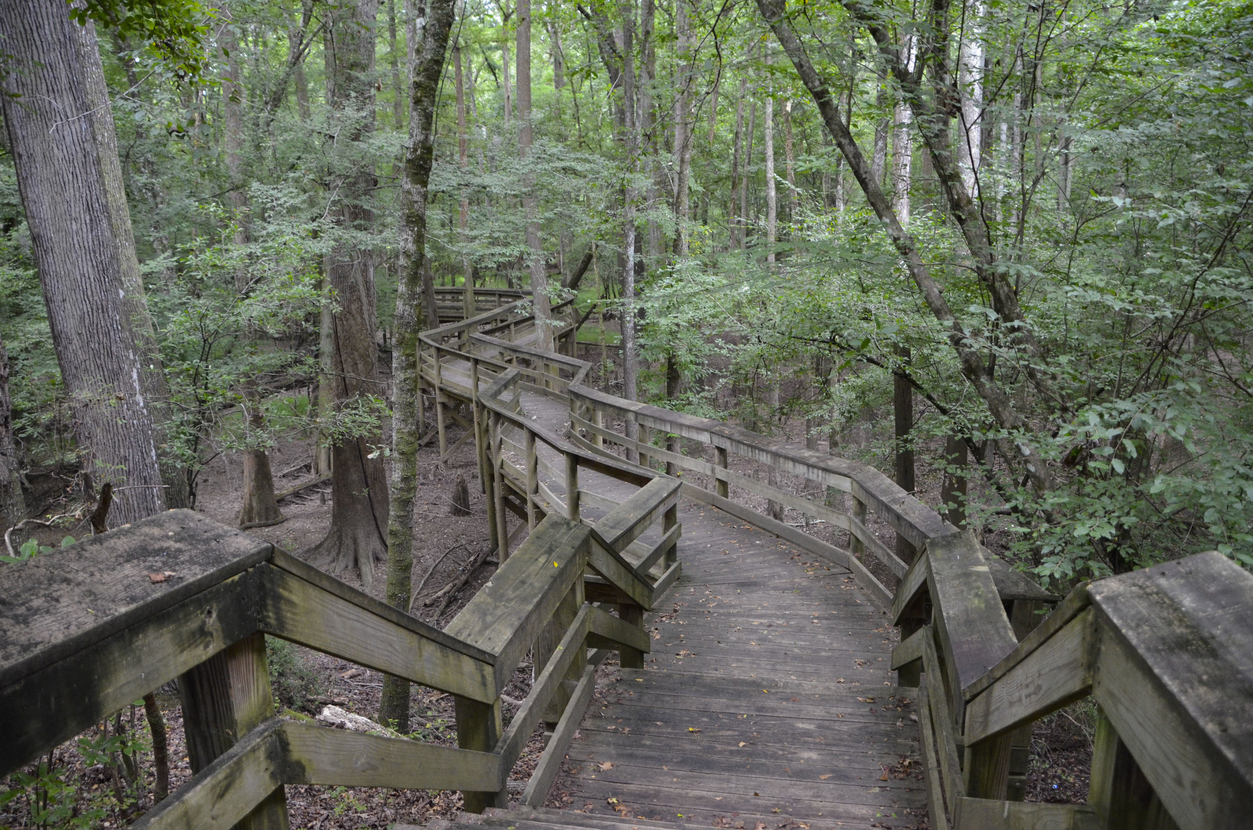 Lynches River Shots for Blog_8.JPG