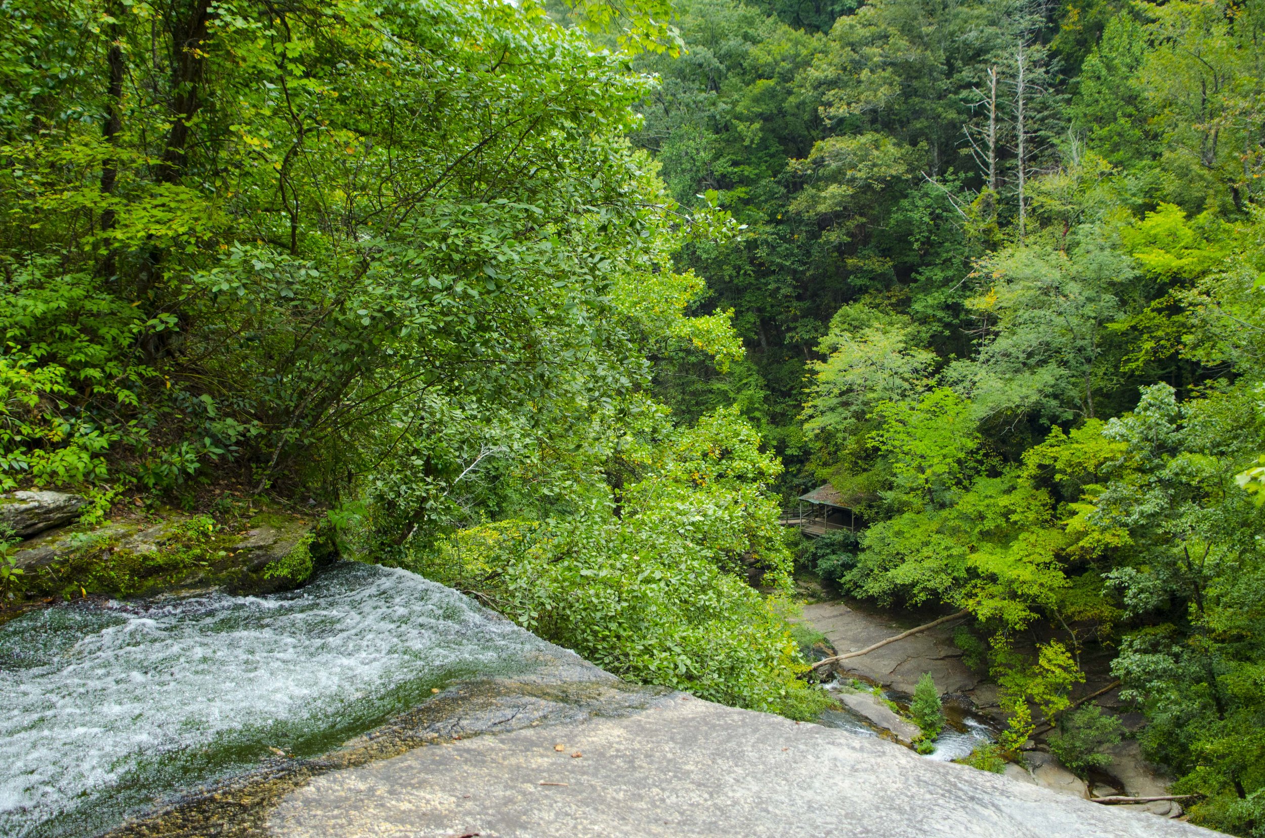 Reedy Cove Falls for Blog by DLucas_8.JPG