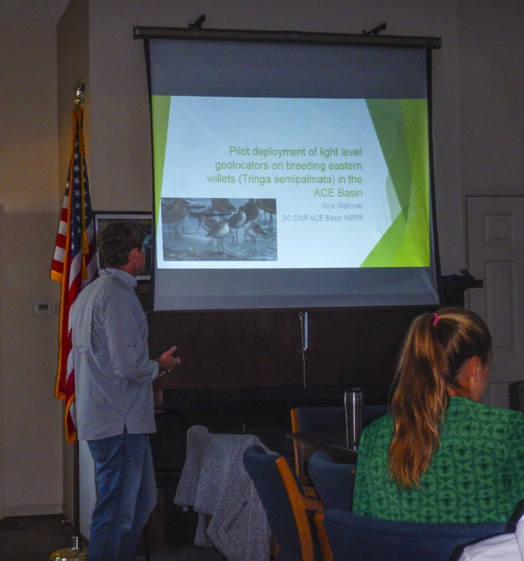 One of the research projects that SCDNR ACE Basin-NERR Stewardship Biologist Nick Wallover is involved in entails capturing Eastern willets and tagging them with geolocator devices to study their migratory patterns.