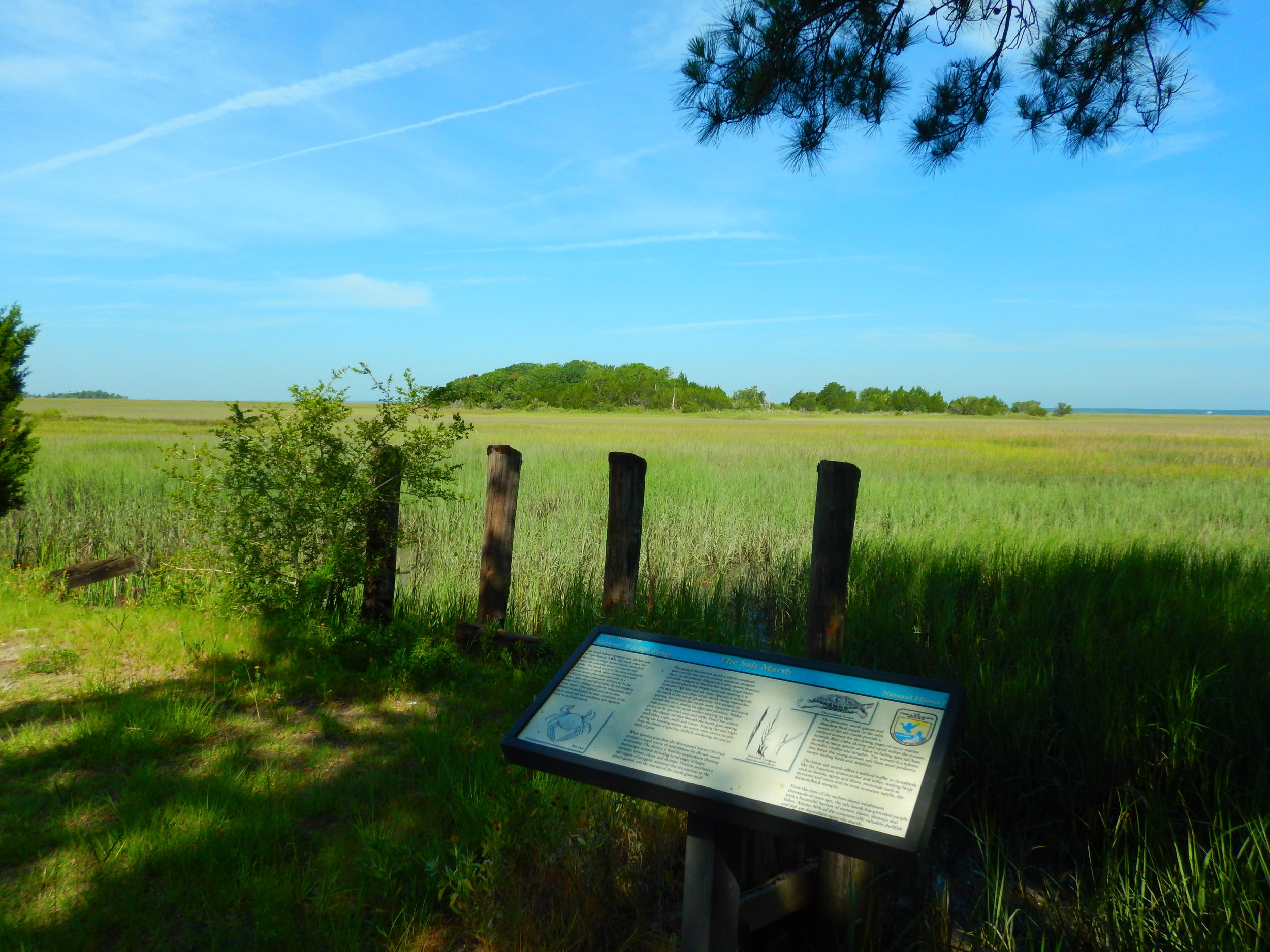  Interpretive signs along the trail explain the island’s ecosystem — Cape Romain National Wildlife Refuge is considered one of the most pristine areas on the East Coast. 