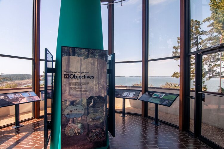 Lake Thurmond: Three Names and Four&nbsp;Seasons