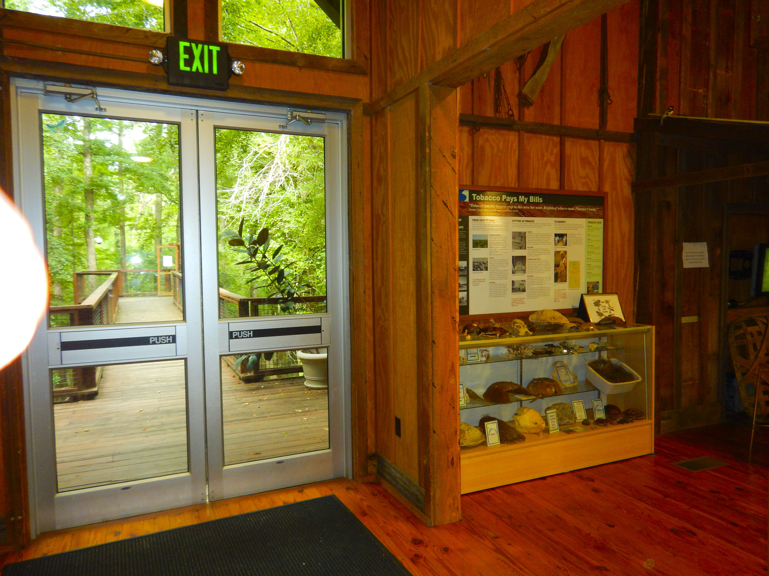 Lynches River Shots for Blog_27.JPG