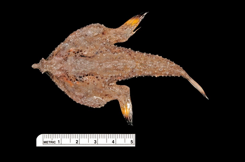 Lapping the Field to Win the 2022&nbsp;Series