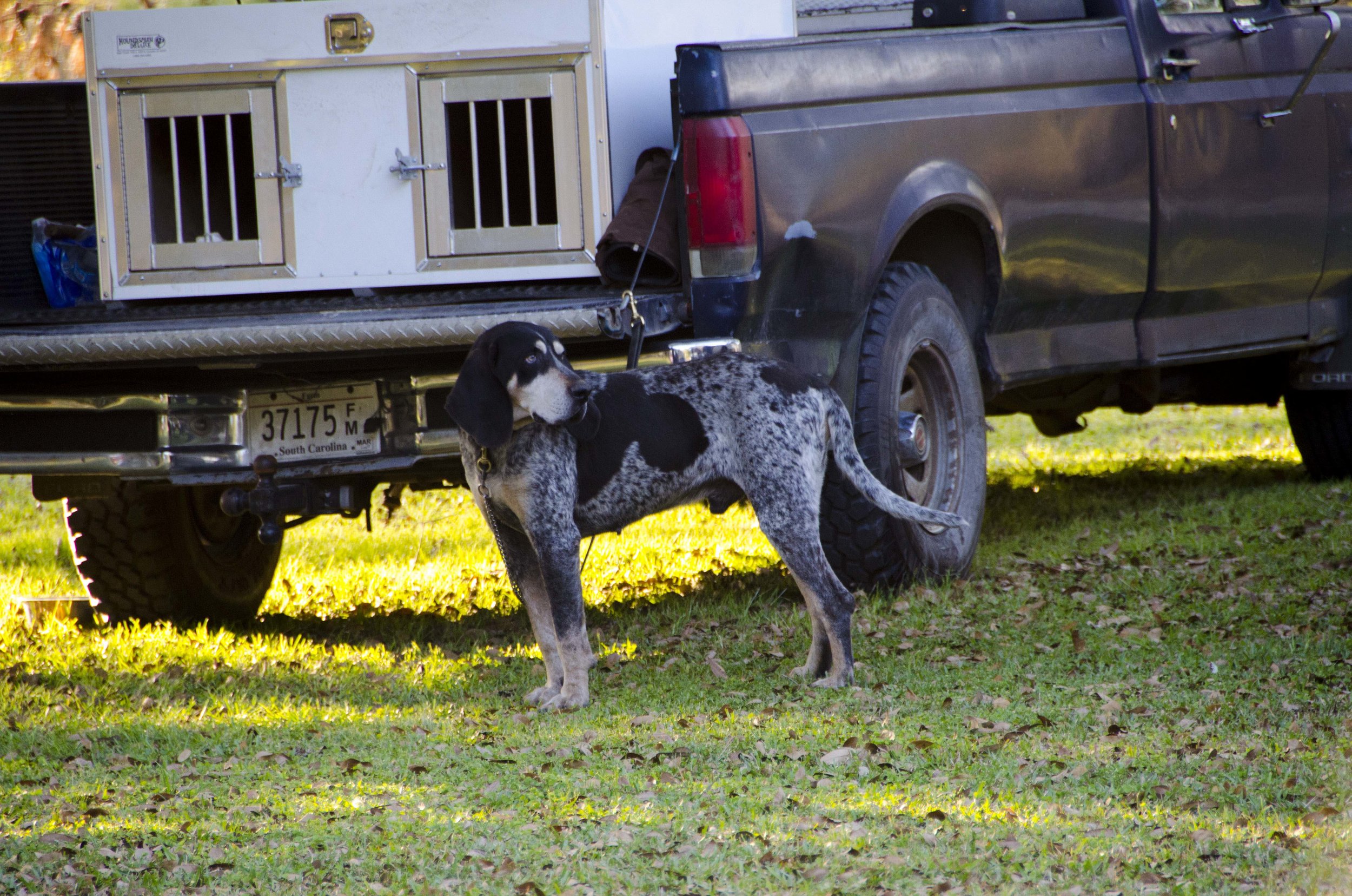 2017 SC Youth Coon Championships for Blog_2.JPG