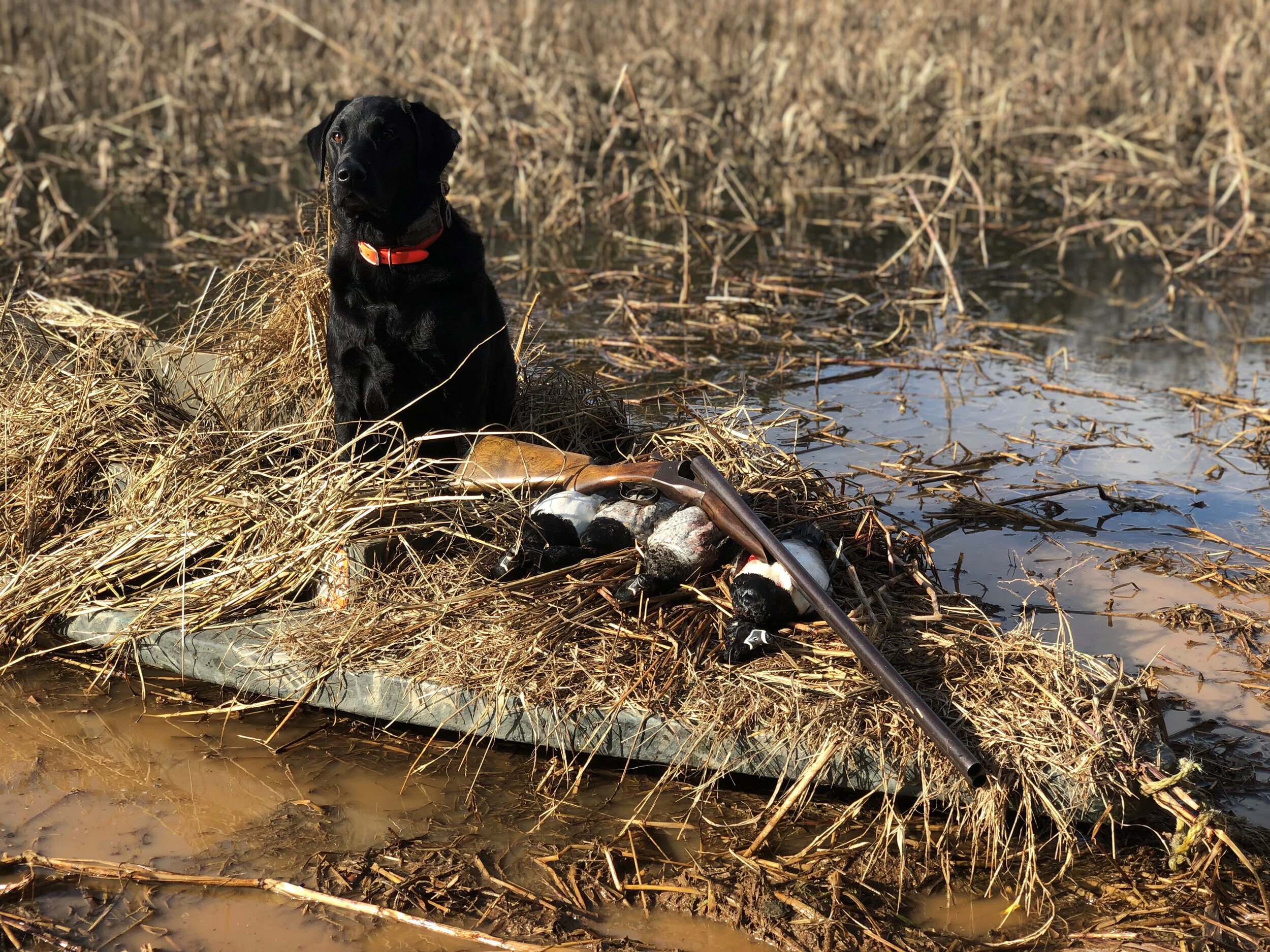 Willie posed with a morning’s work and great-grandfather’s side-by side (Photo courtesy Molly Kneece)