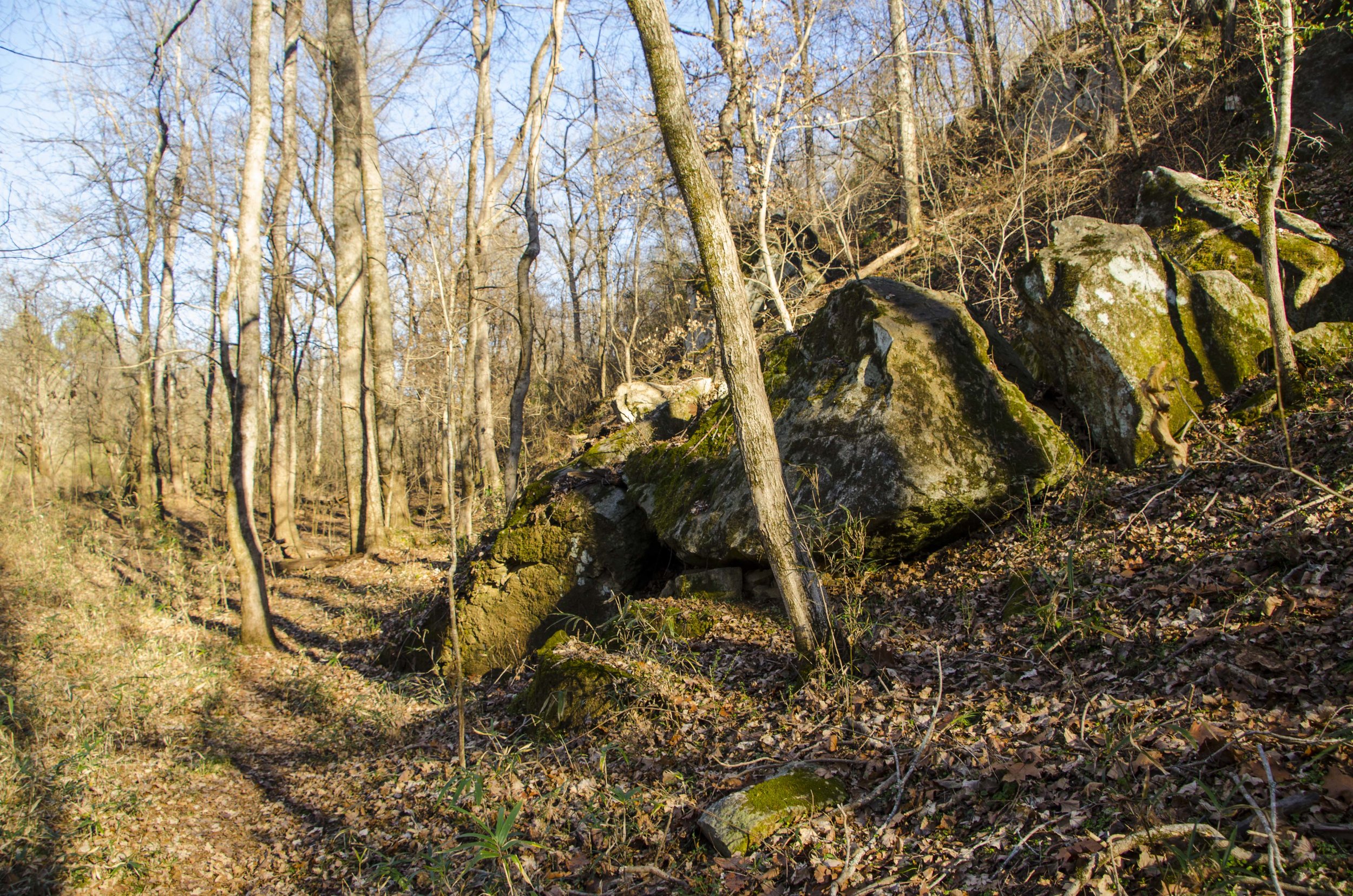  Lichen-covered boulders line this side of the path down the ridge.&nbsp; Please don't sit or climb on them, the plant communities around the bolulders are fragile.&nbsp;(SCDNR photo by D. Lucas) 