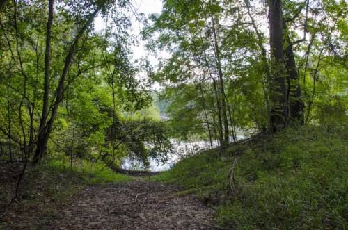 This spot along the riverbank, where the property's previous owners created a primitive boat thrown-in spot,&nbsp;could become a camp site at some point in the future.&nbsp;