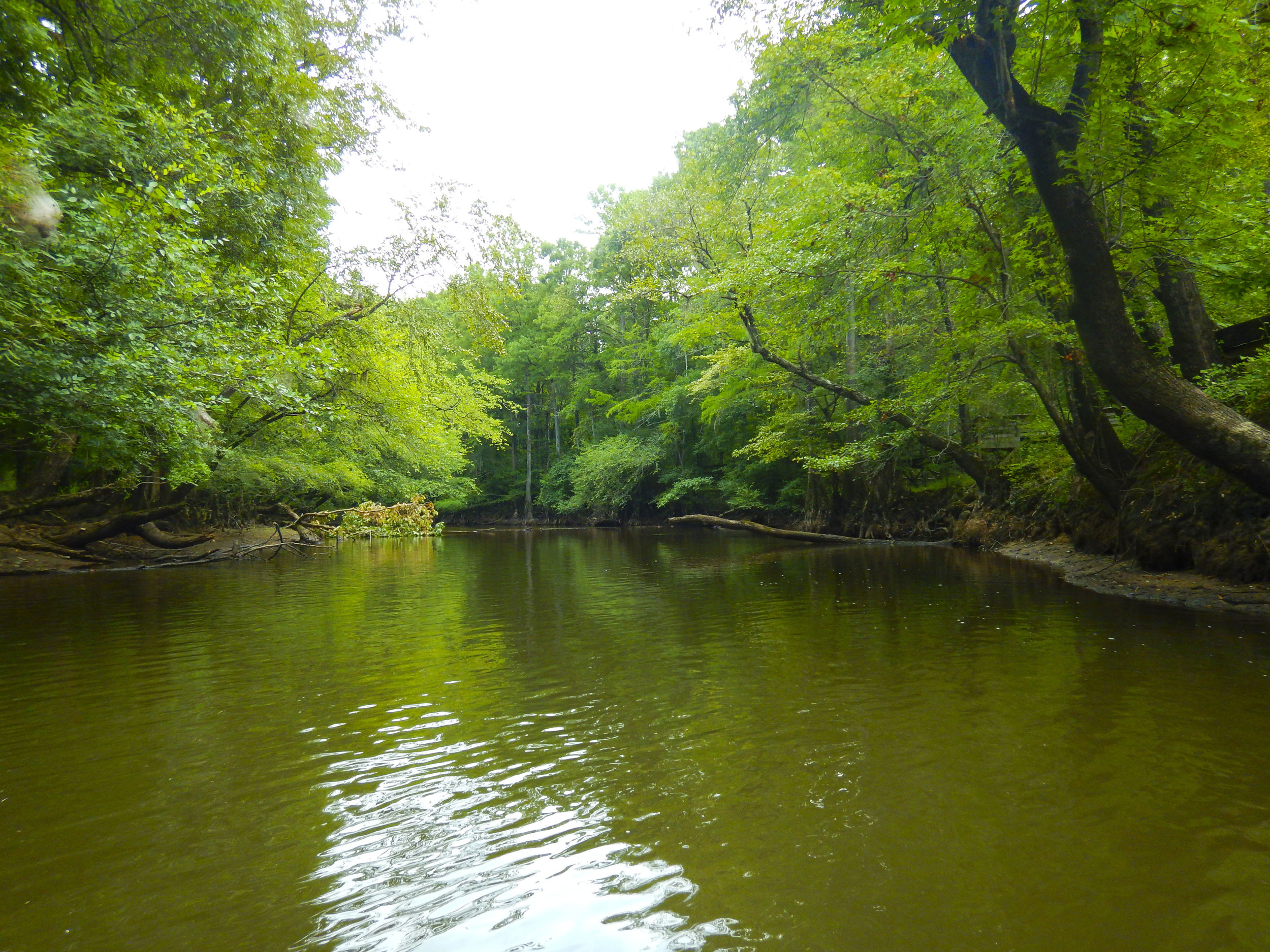 Lynches River Shots for Blog_20.JPG