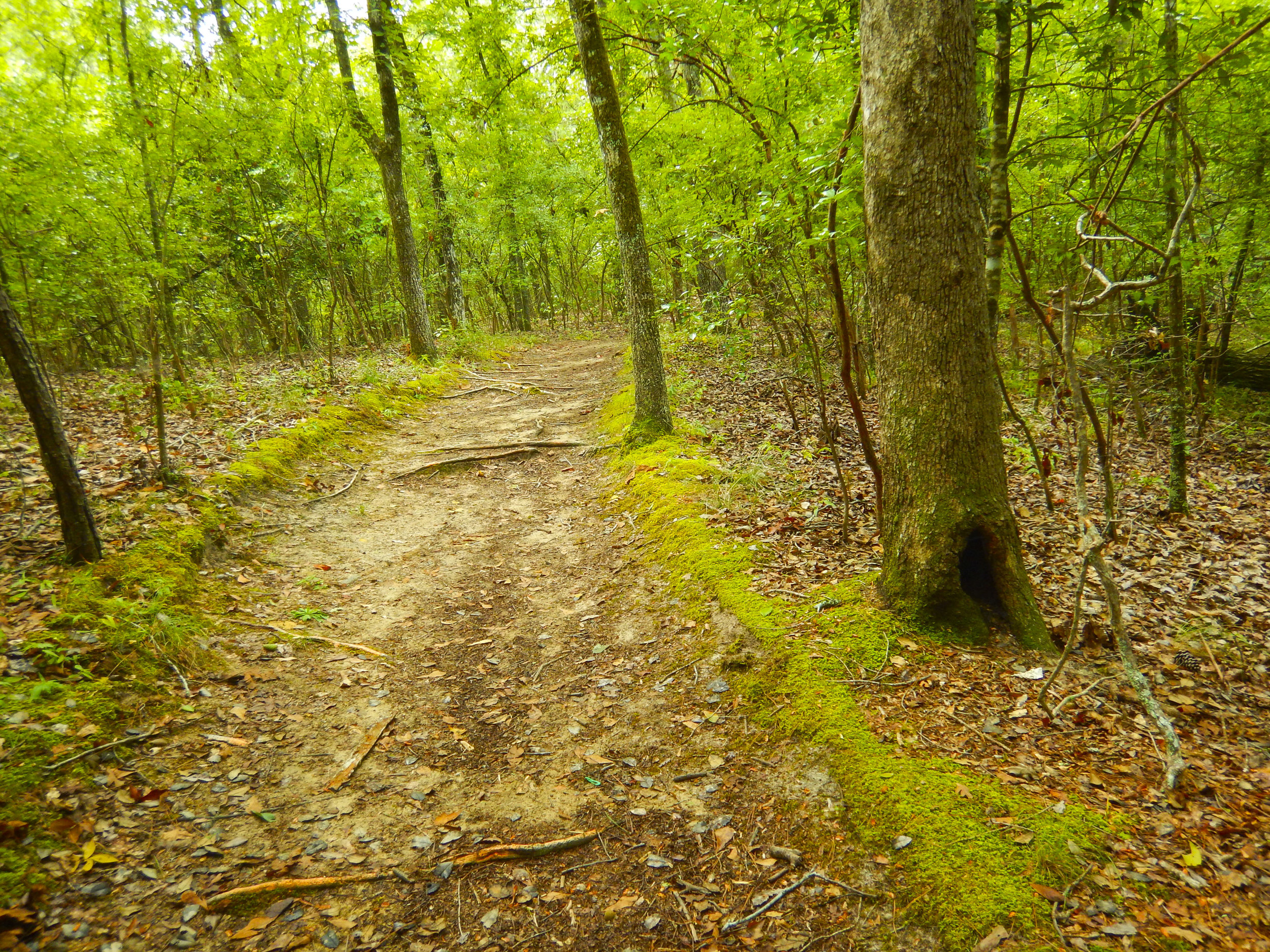 Lynches River Shots for Blog_37.JPG