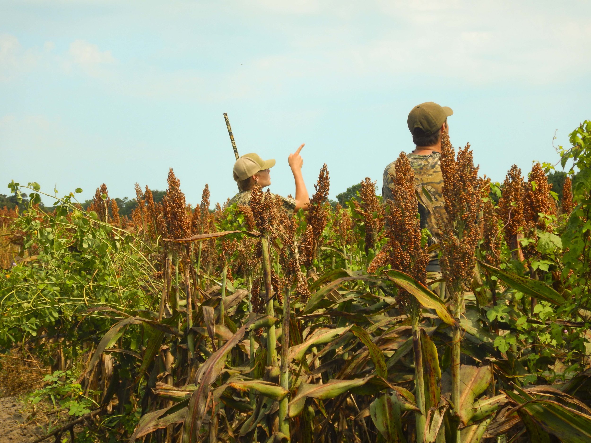 Participants at a special Youth-only dove hunt at the SCDNR's Botany Bay WMA &amp; Heritage Preserve scan the sky looking for mourning doves. photo by David Lucas