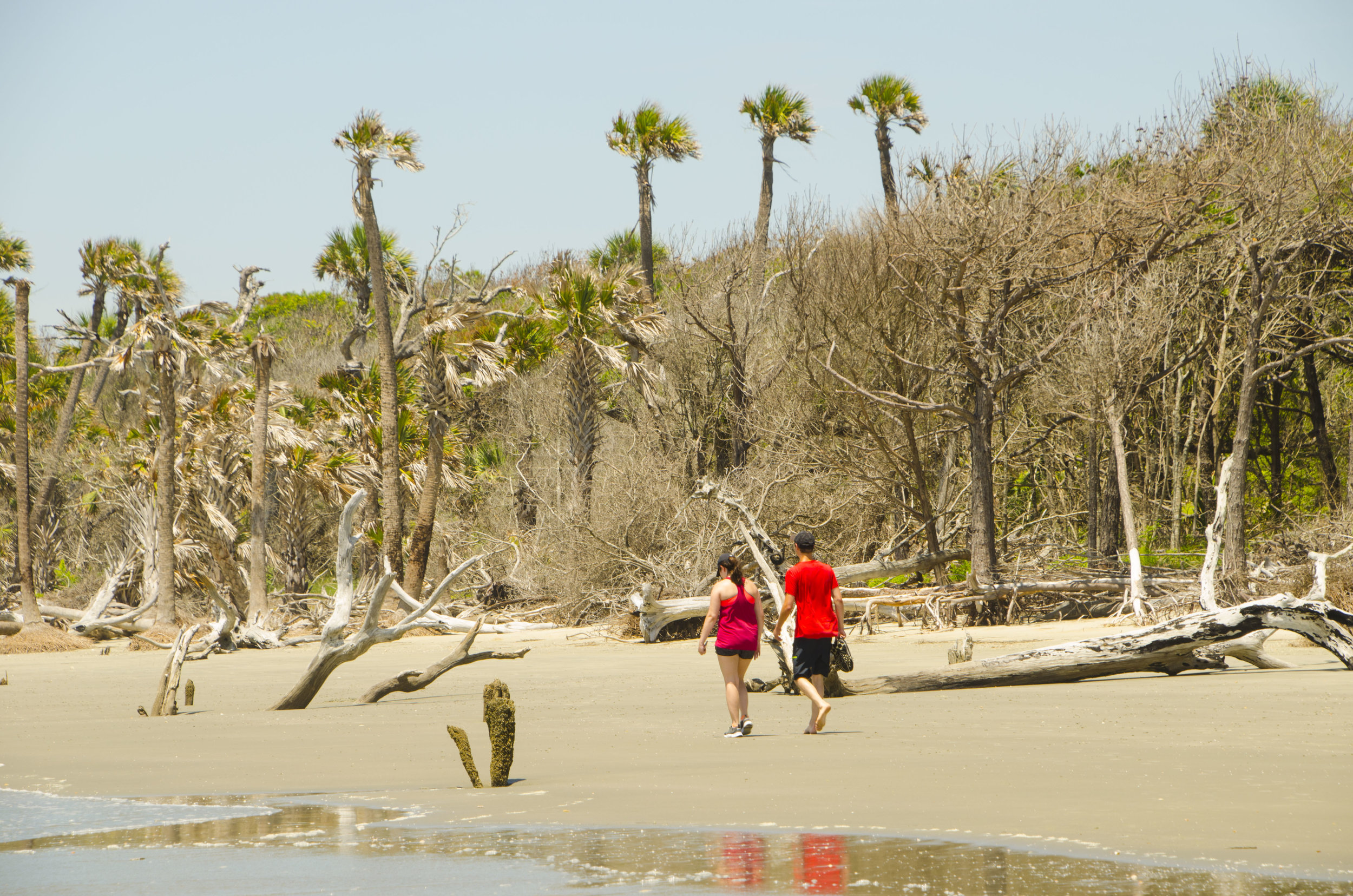 Bulls Island for Blog 040_ by DLucas.JPG