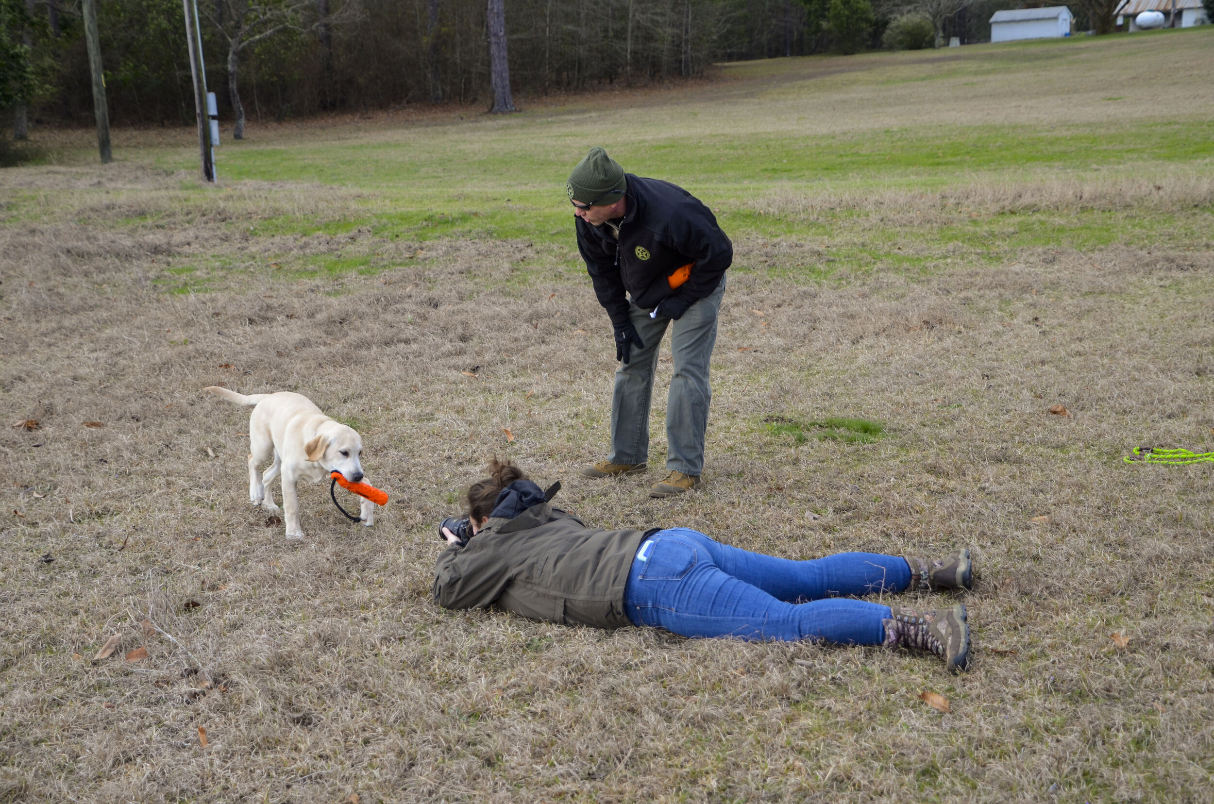 Love Farm Dog Photos_DLucas_094_1.JPG