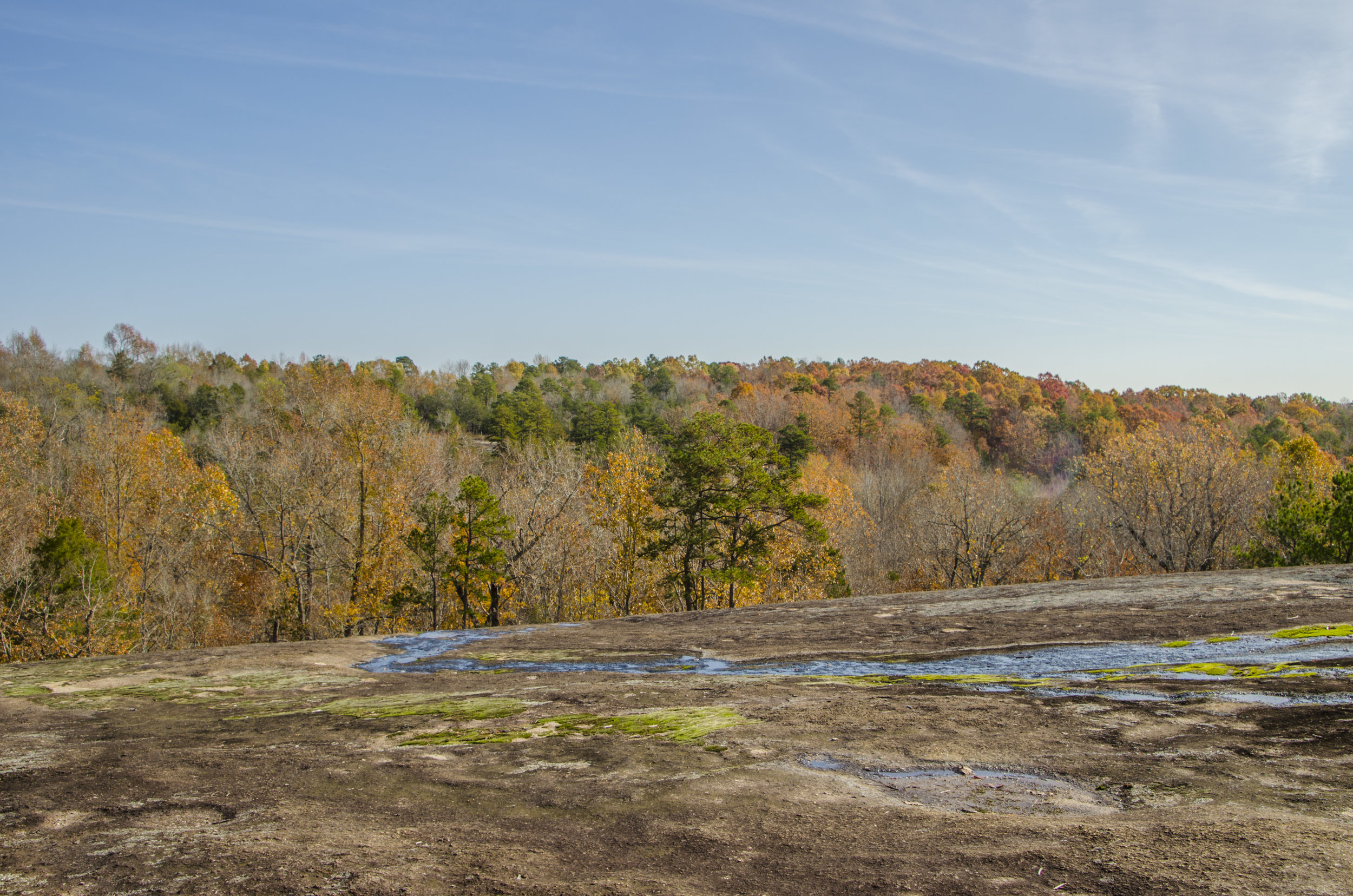 Forty Acre Rock_November2018_DLucas_037.JPG