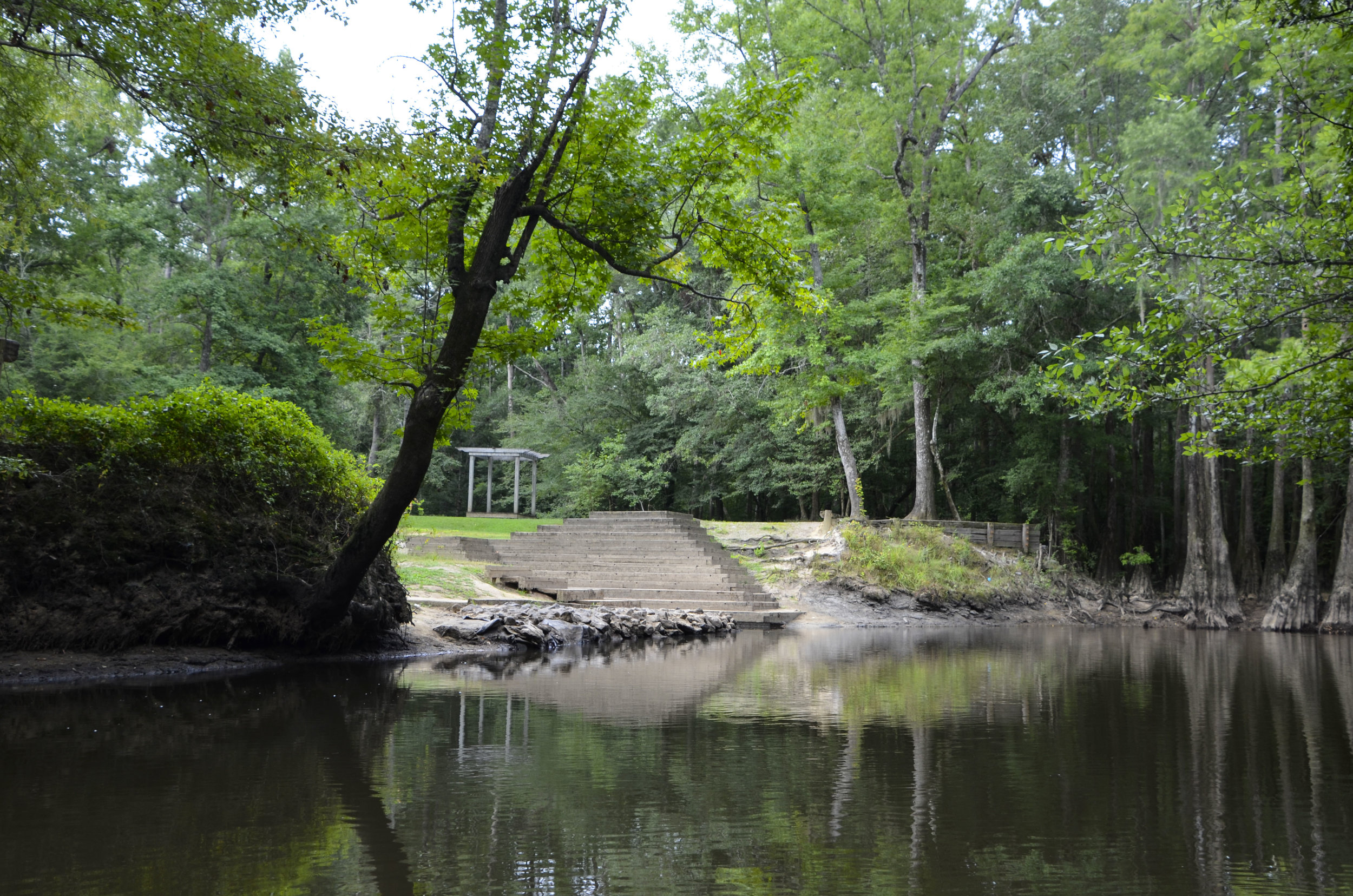 Lynches River Shots for Blog_1.JPG