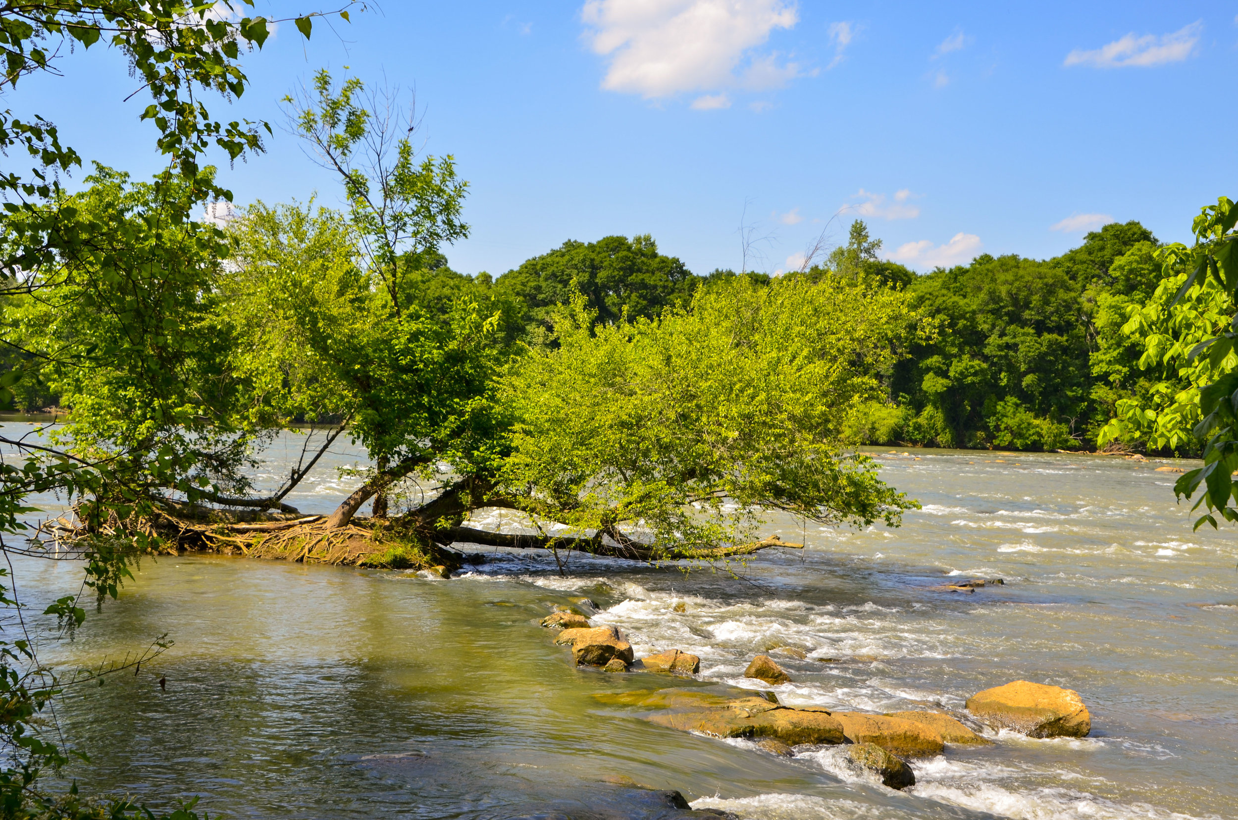 LCSP and Catawba Riverwalk for FB_35.JPG