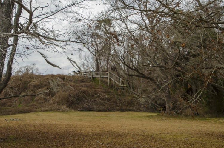 Climbing the steps to the top of the ancient Santee Indian Mound at the SNWR is like taking a walk back in time through some of the Palmetto State's most fascinating historical periods.&nbsp;