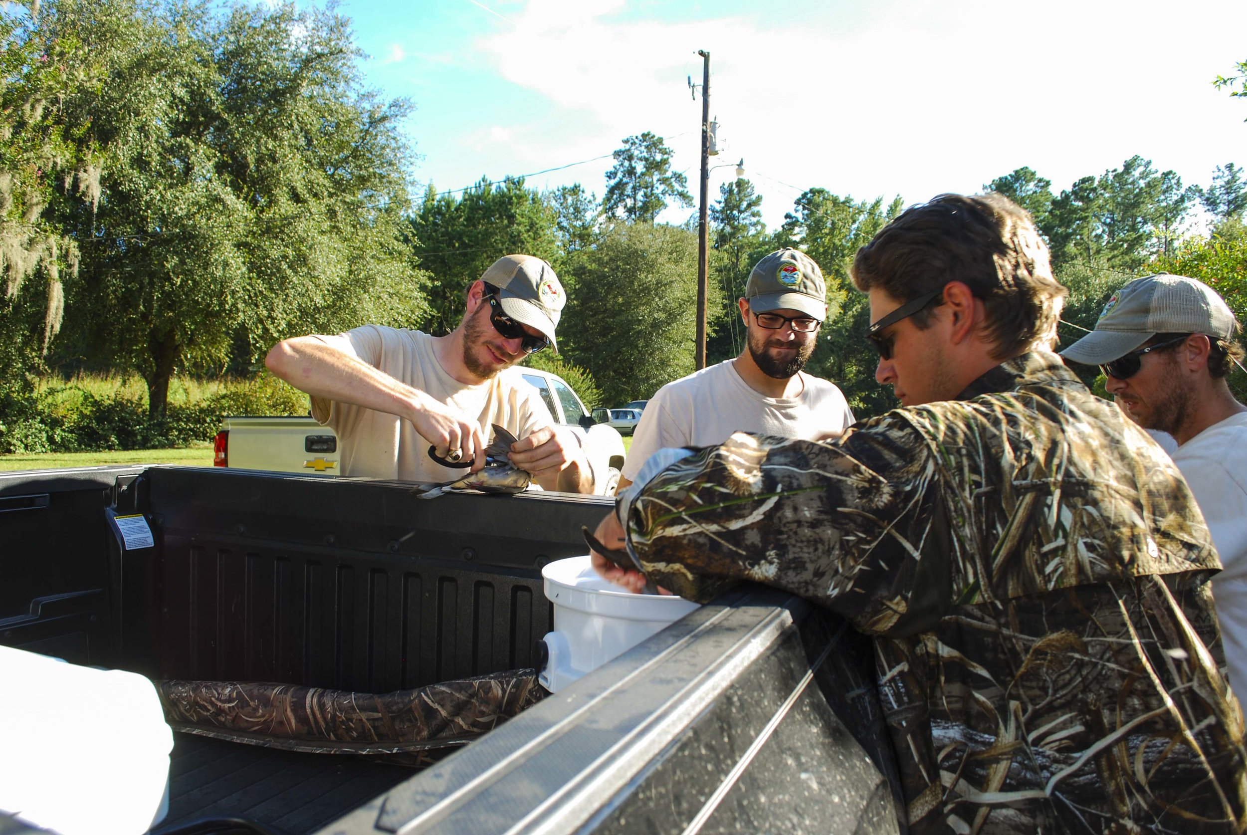 More wings being collected at Webb Center.