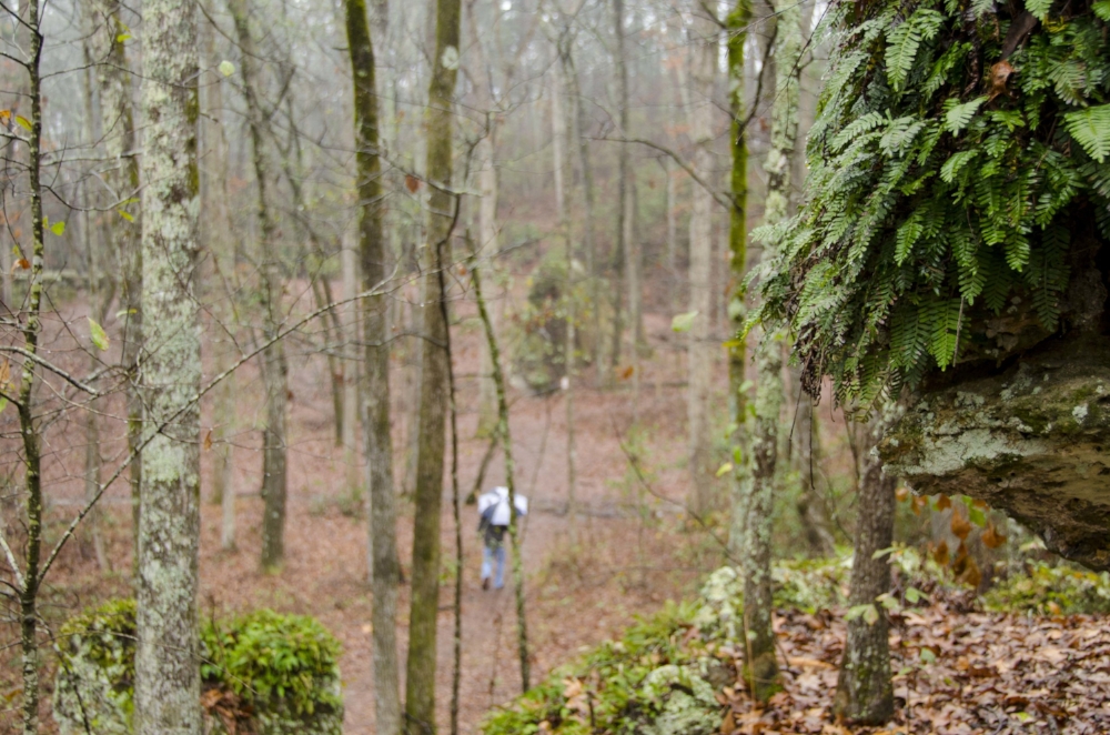Rain or shine, one of the many hiking trails available on SCDNR-managed lands around the state is waiting for you. Visit www.dnr.sc.gov and click on "public lands" to find your next adventure.