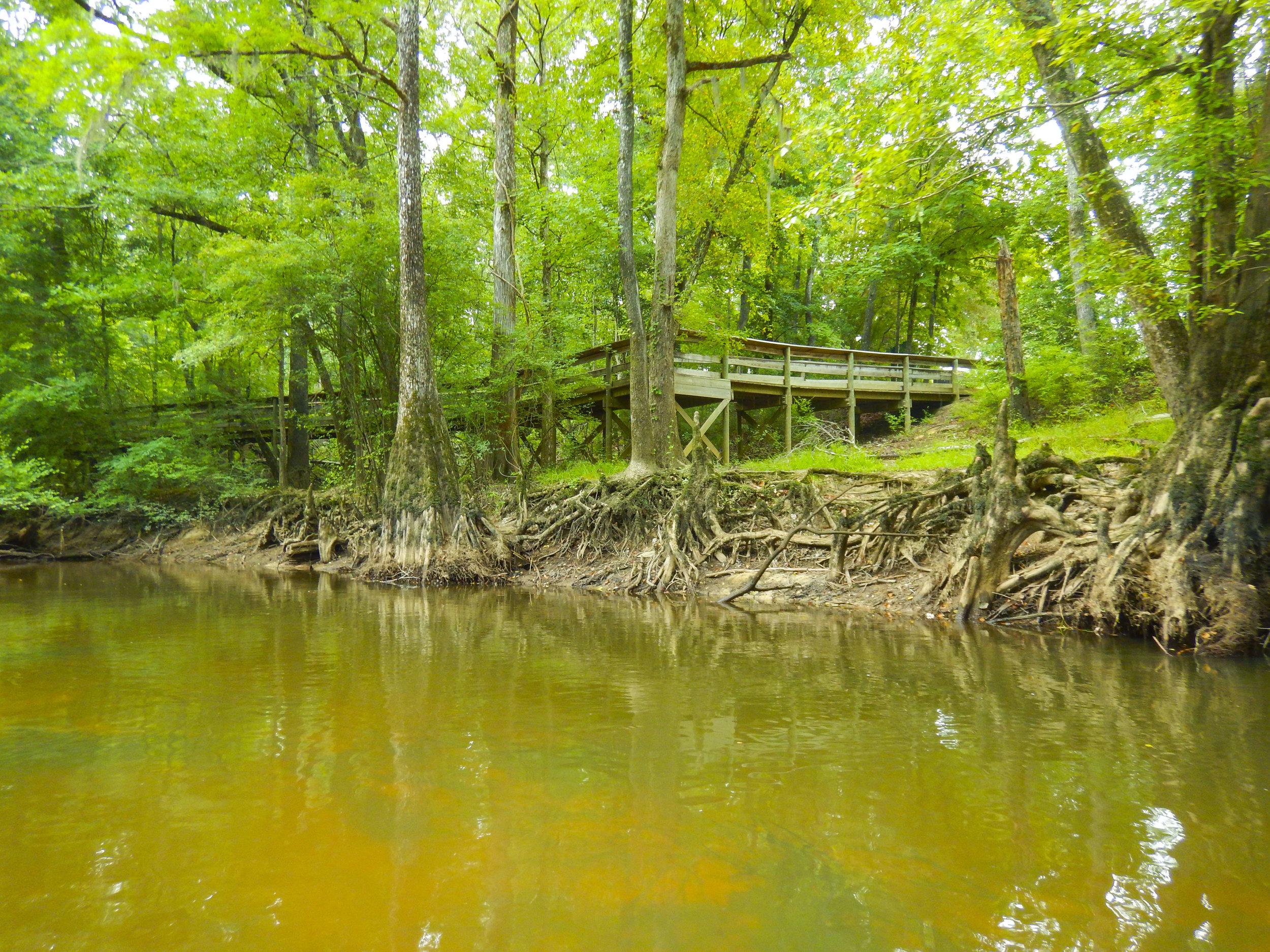 Lynches River Shots for Blog_21.JPG