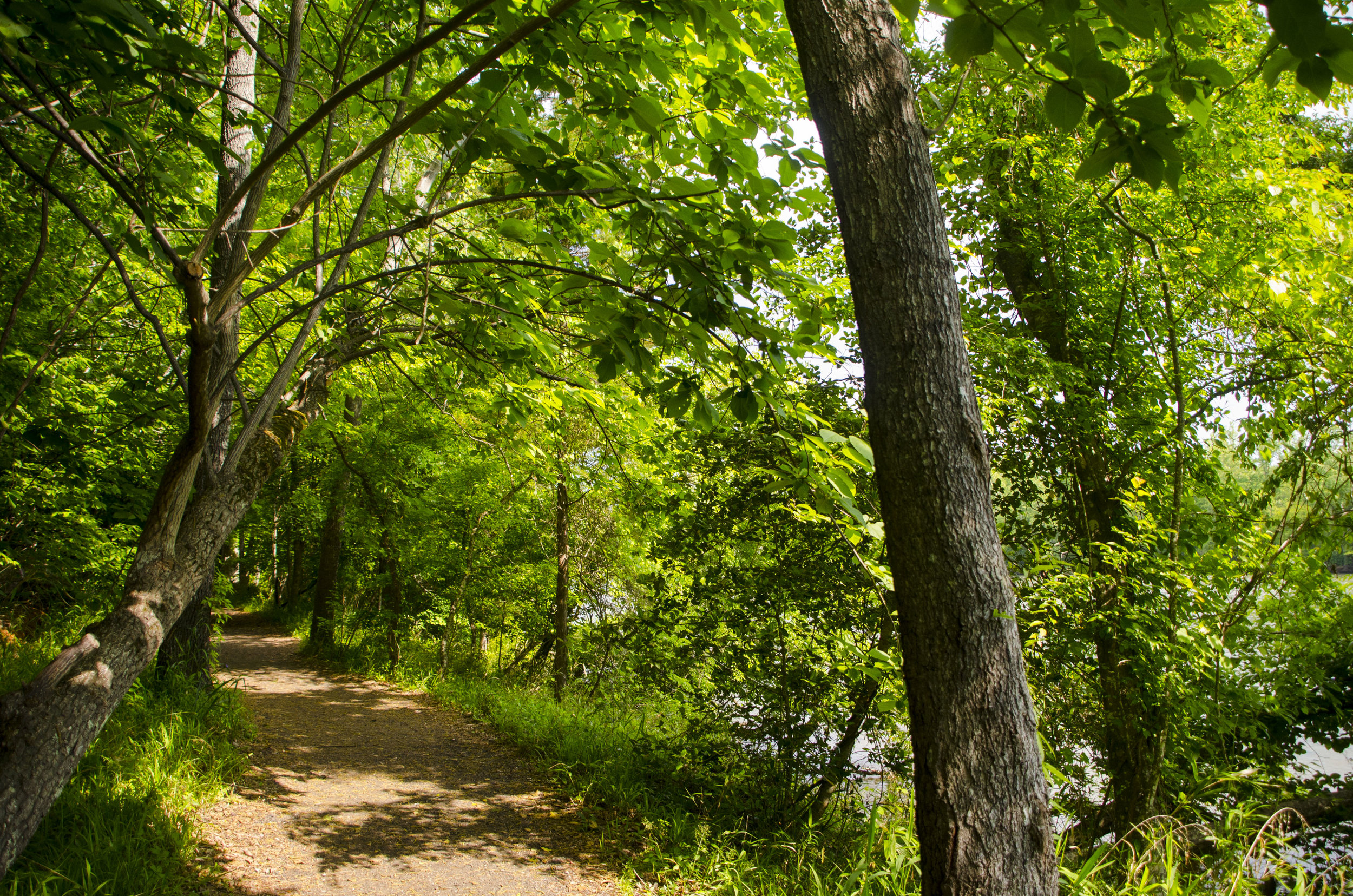 LCSP and Catawba Riverwalk for FB_7.JPG