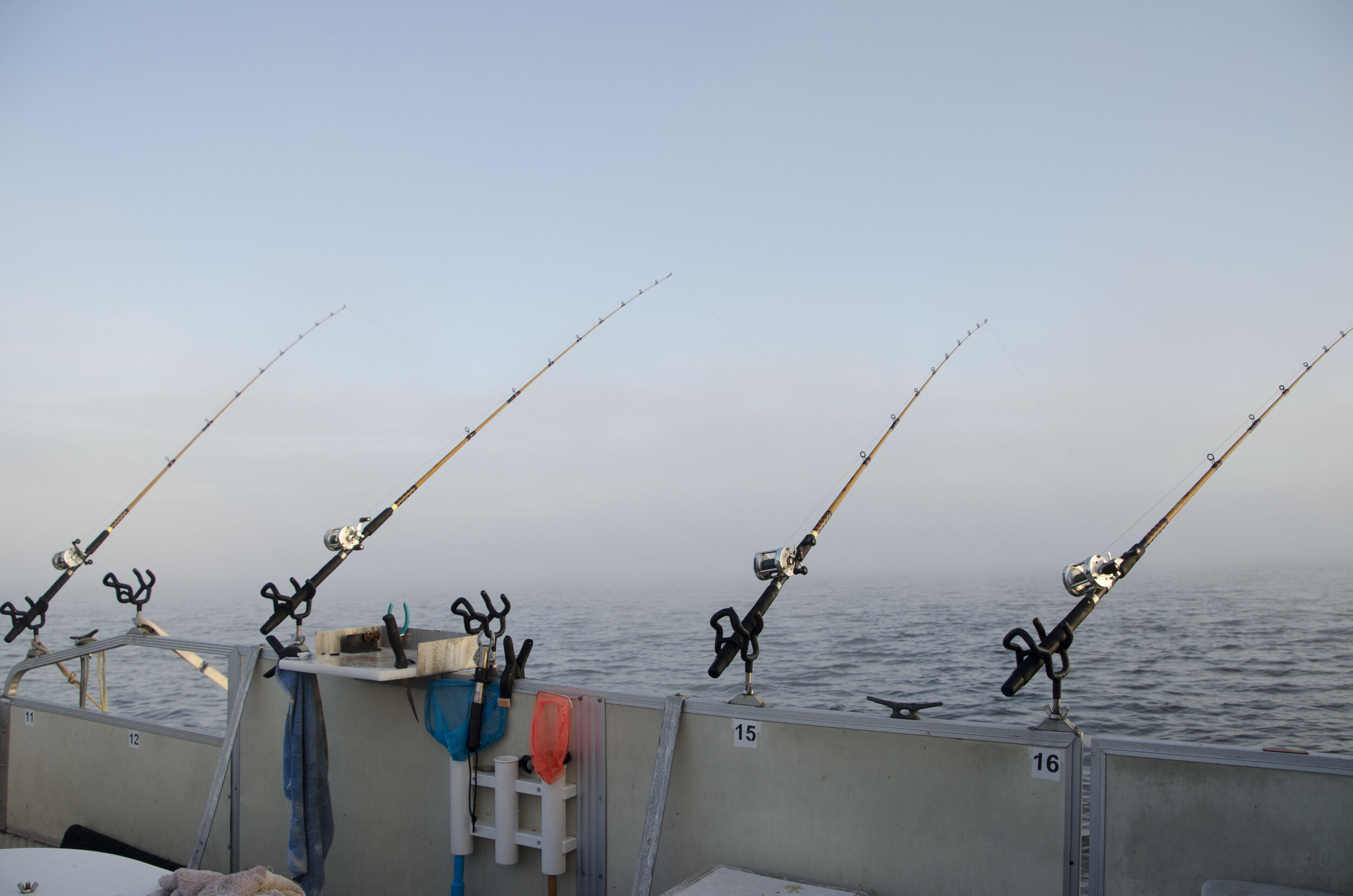 Santee Guide-Mouse_037_DLucas.JPG