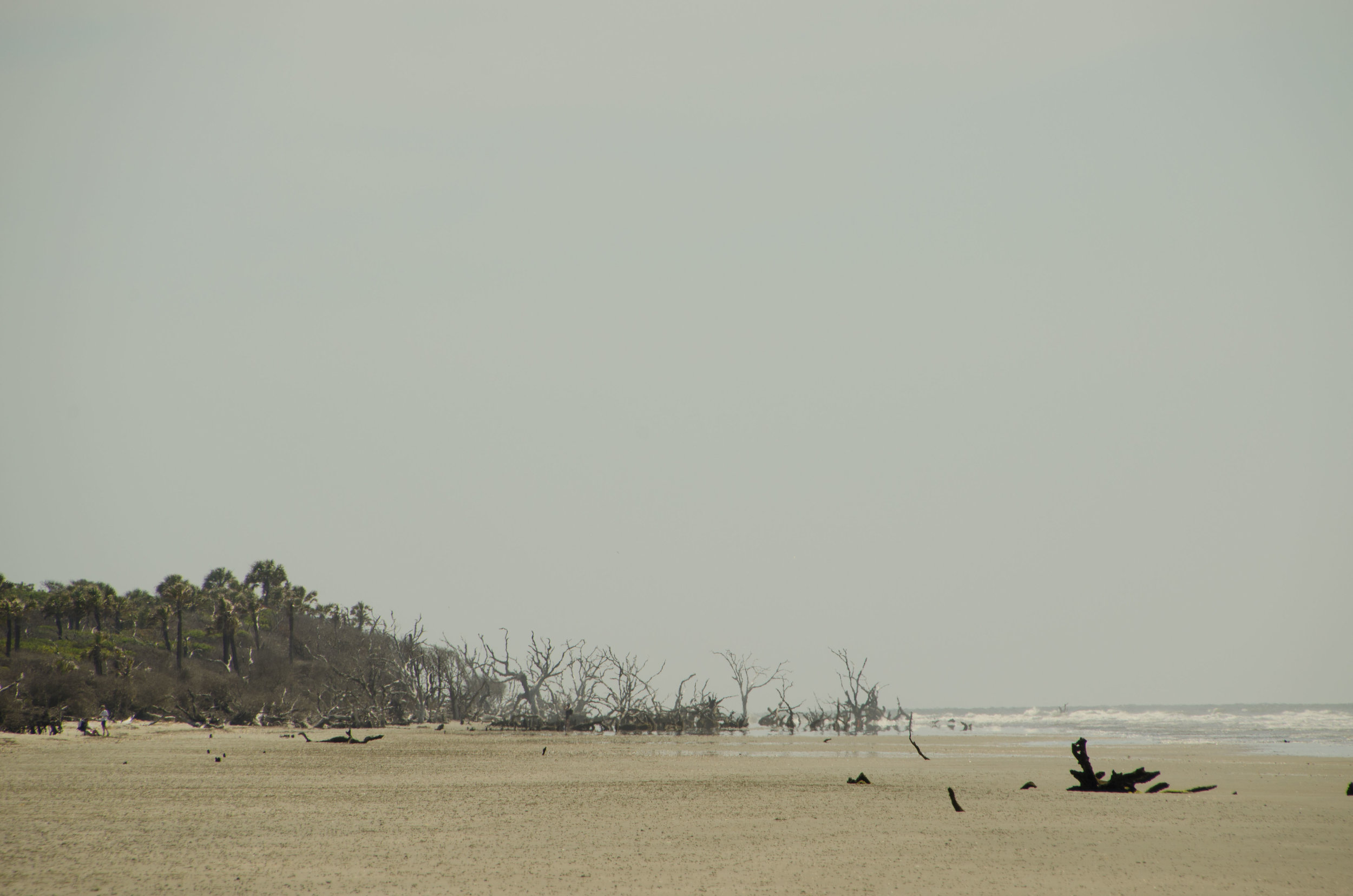  The bone yard beach is to the north. 