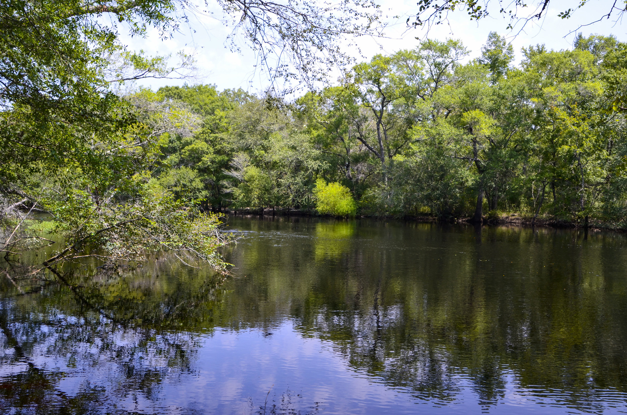  View upstream from the dock at Chris Anderson Landing. 
