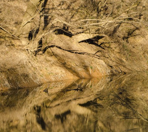 South Carolina’s Old 96 District has the Cure for a Serious Case of Cabin&nbsp;Fever