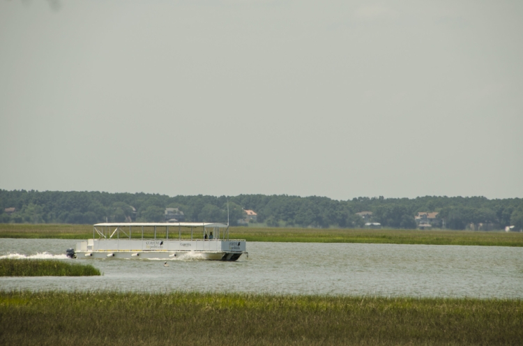 The Coastal Expeditions'&nbsp;Ferry rounds the point before entering&nbsp; Summerhouse Creek&nbsp; to dock at Bulls Island.&nbsp; The viewpoint is from &nbsp;from the "Middens" trail, which wanders along the salt marsh bordering the&nbsp; island's&n…