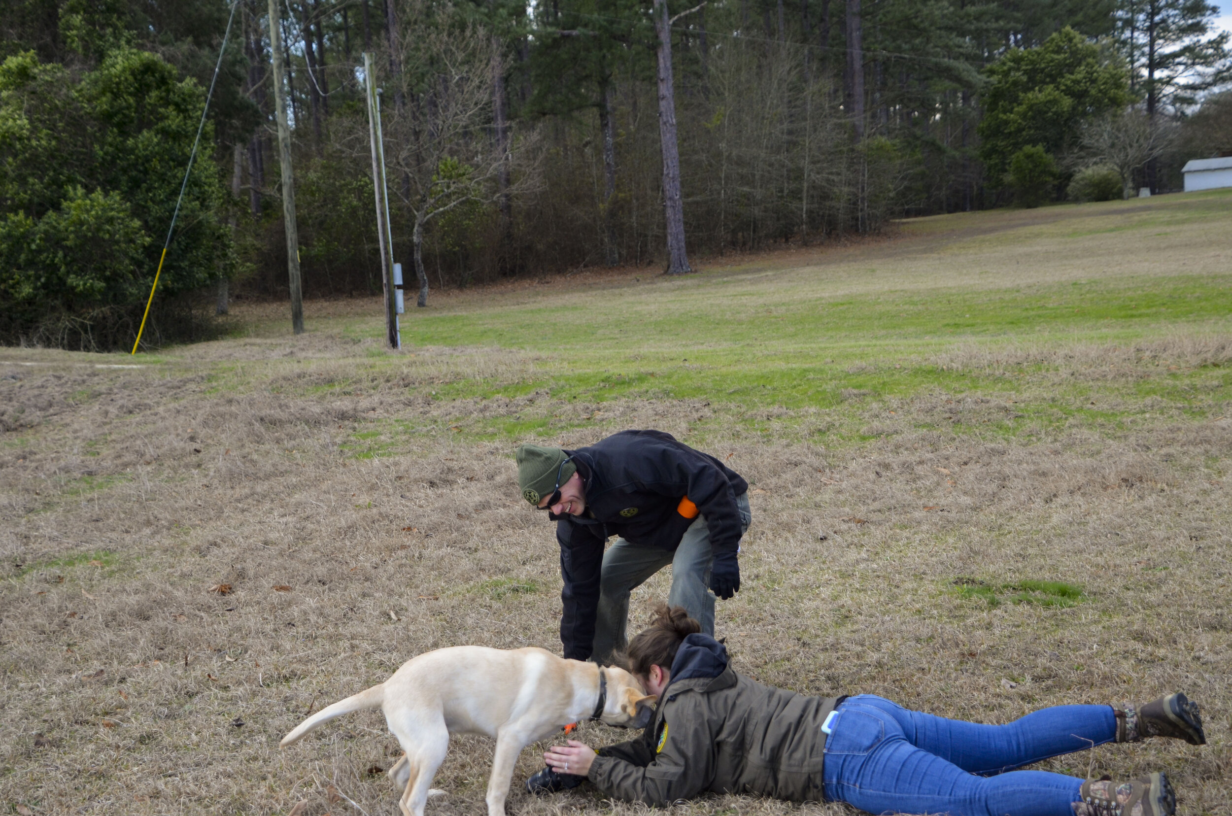 Love Farm Dog Photos_DLucas_096_1.JPG