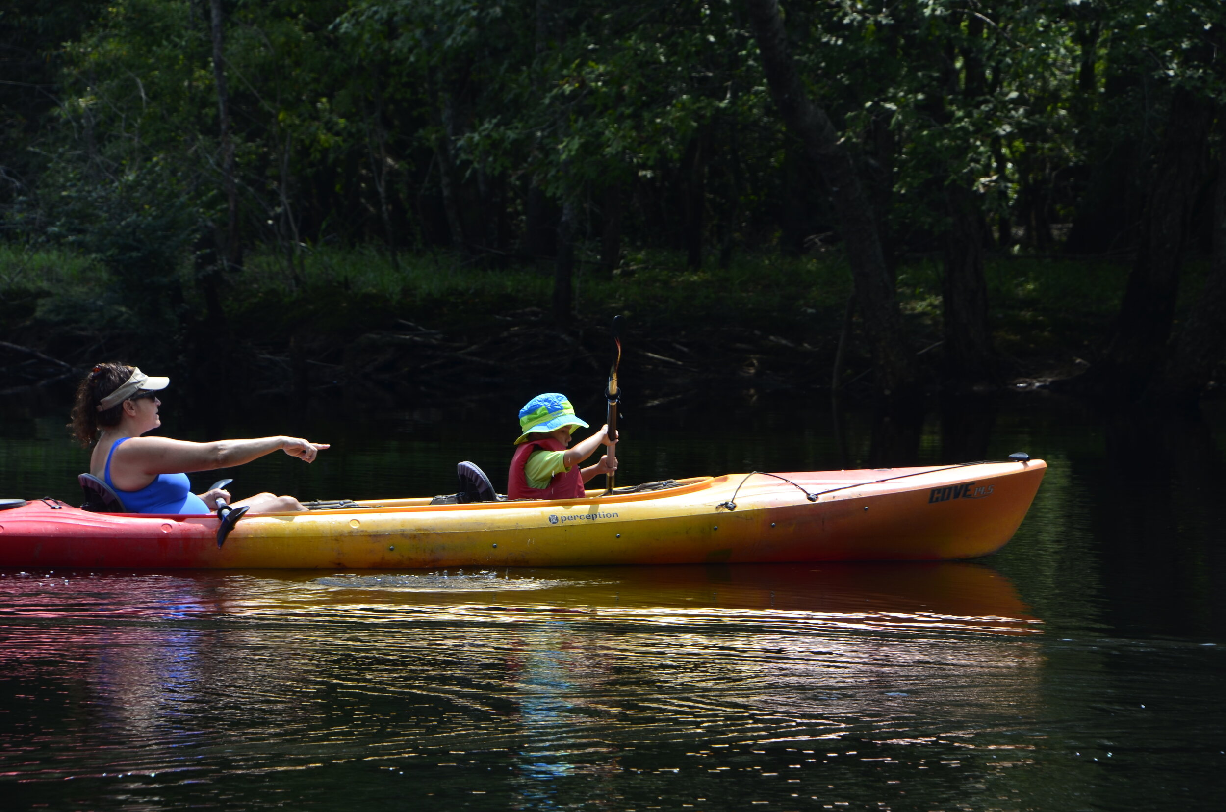 The popularity of paddle sports in South Carolina has grown exponentially during Mary Shriner’s 35 years at the helm of Santee Cooper Country.